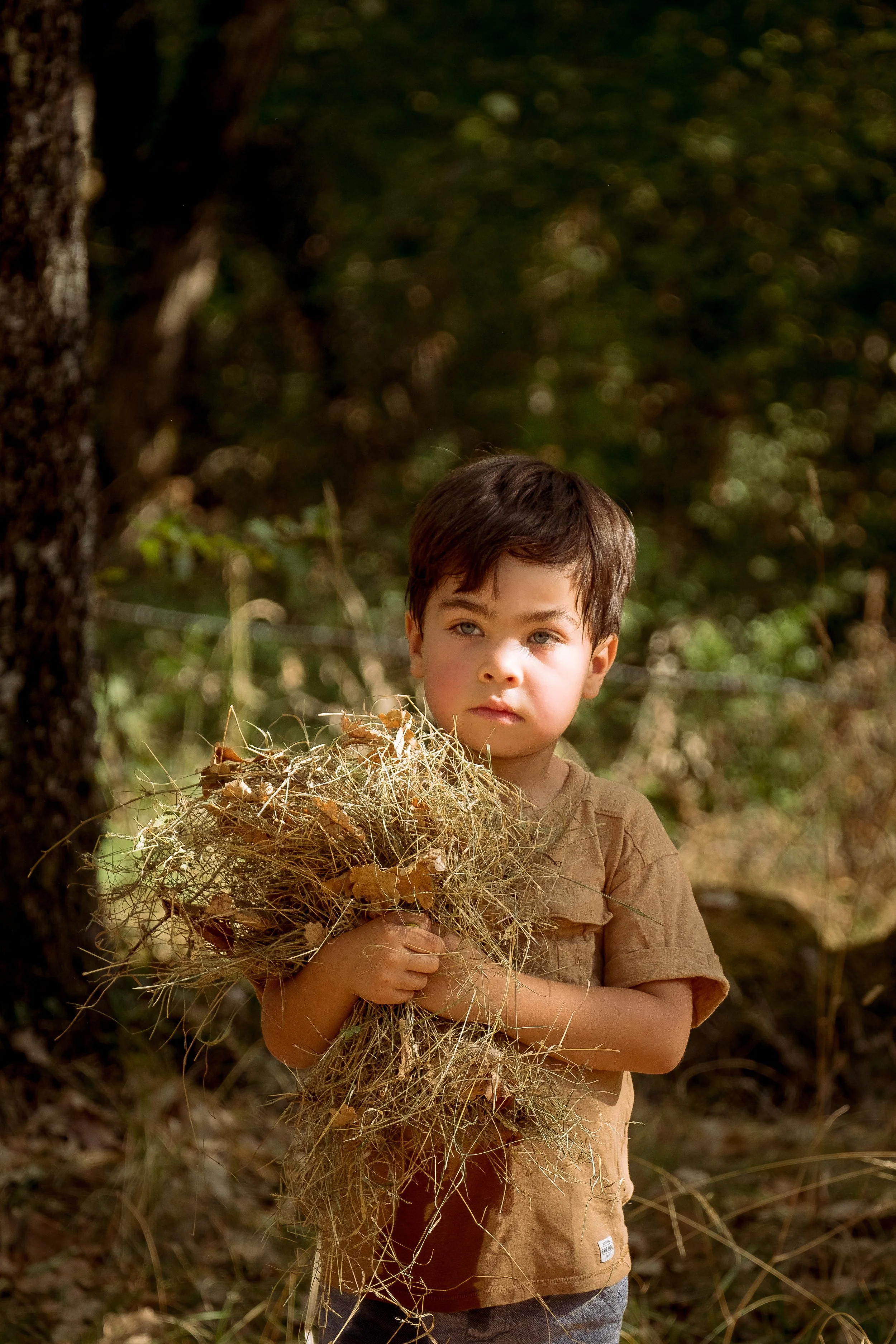portrait de l'enfant qui tient un paquet de paille dans ses bras