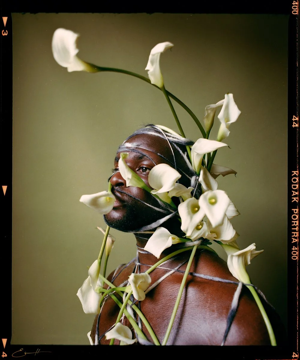 Forget-Me-Not-Eivind-Hansen-77.jpg