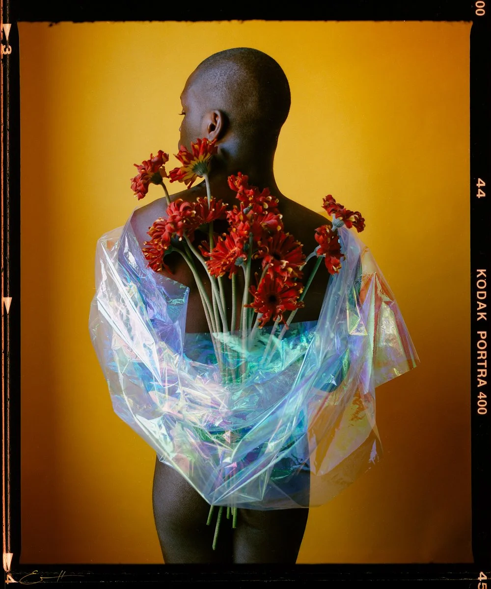 Forget-Me-Not-Eivind-Hansen-70.jpg