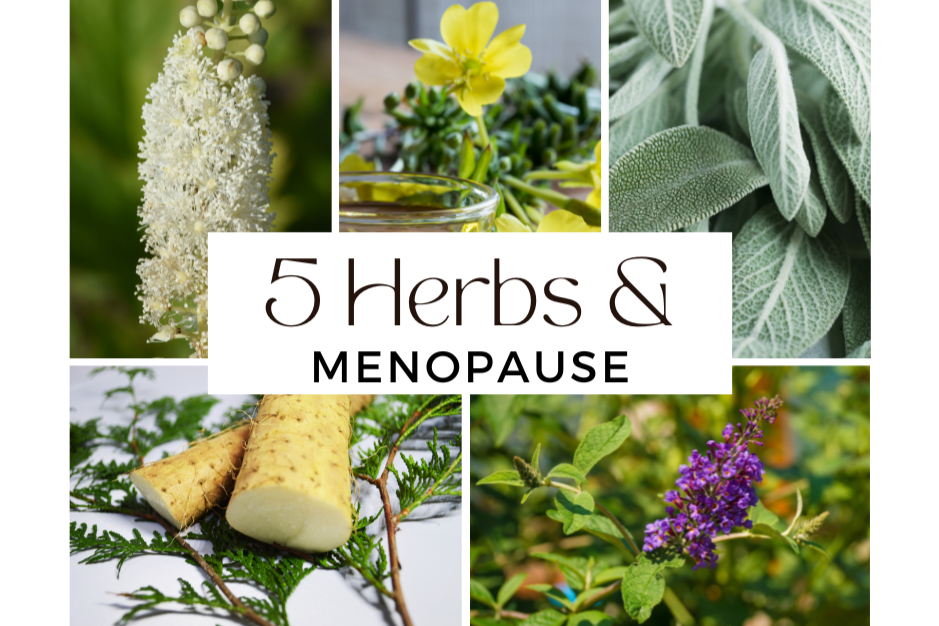 5 Herbs &amp; Menopause