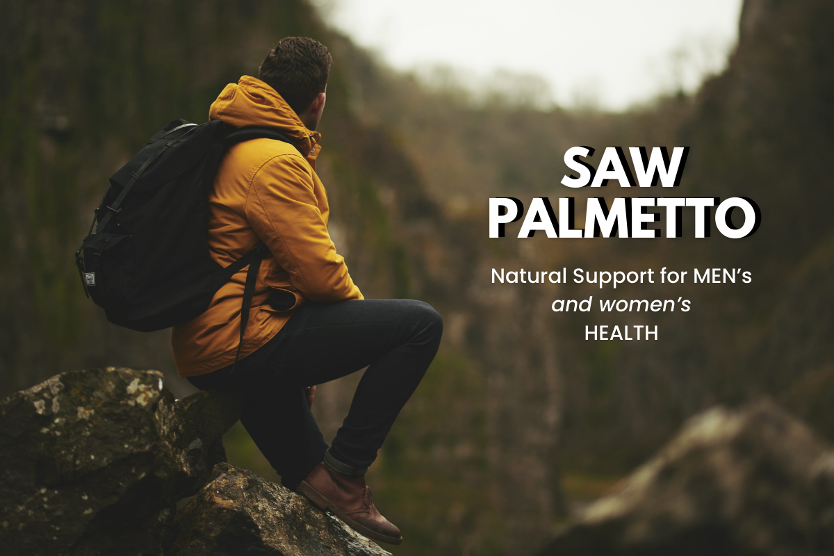 Saw Palmetto: A Time-Tested Ally for Men’s Health