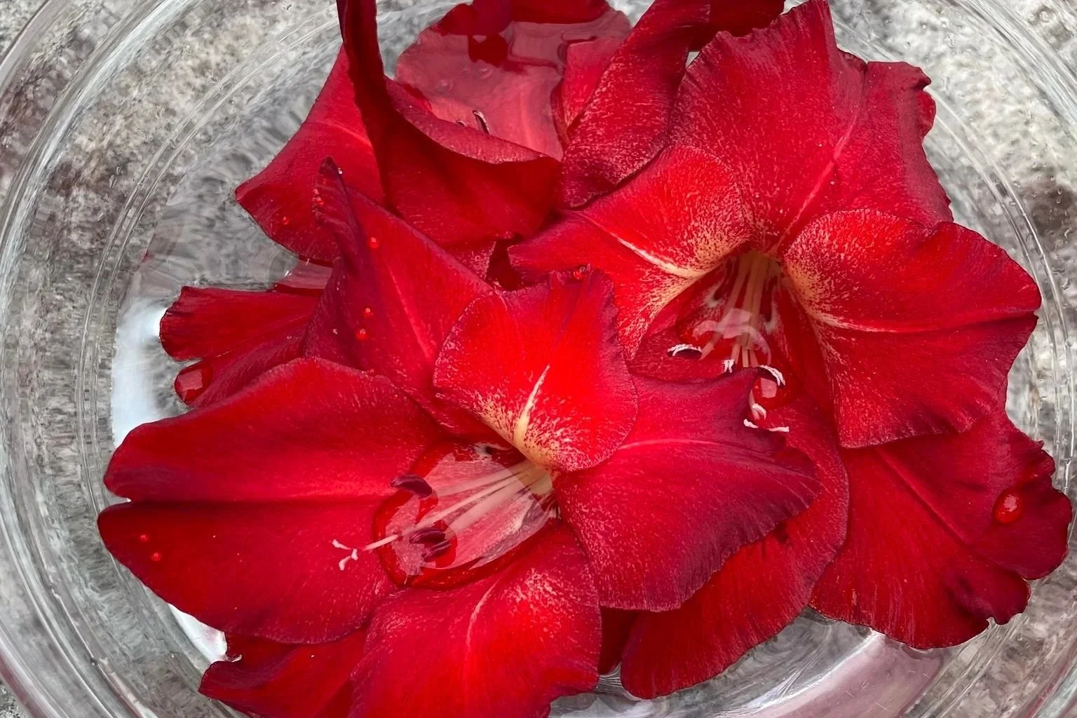 DIY Flower Essence