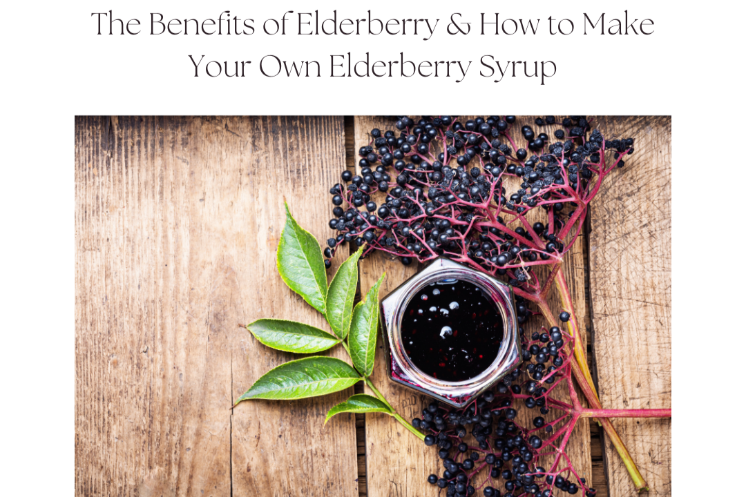 Support Your Immune System with Elderberries