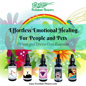 Image Freedom Flowers offers effortless emotional healing for people and pets