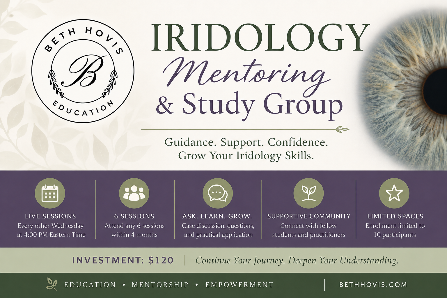 Iridology Study Group - Beth.png