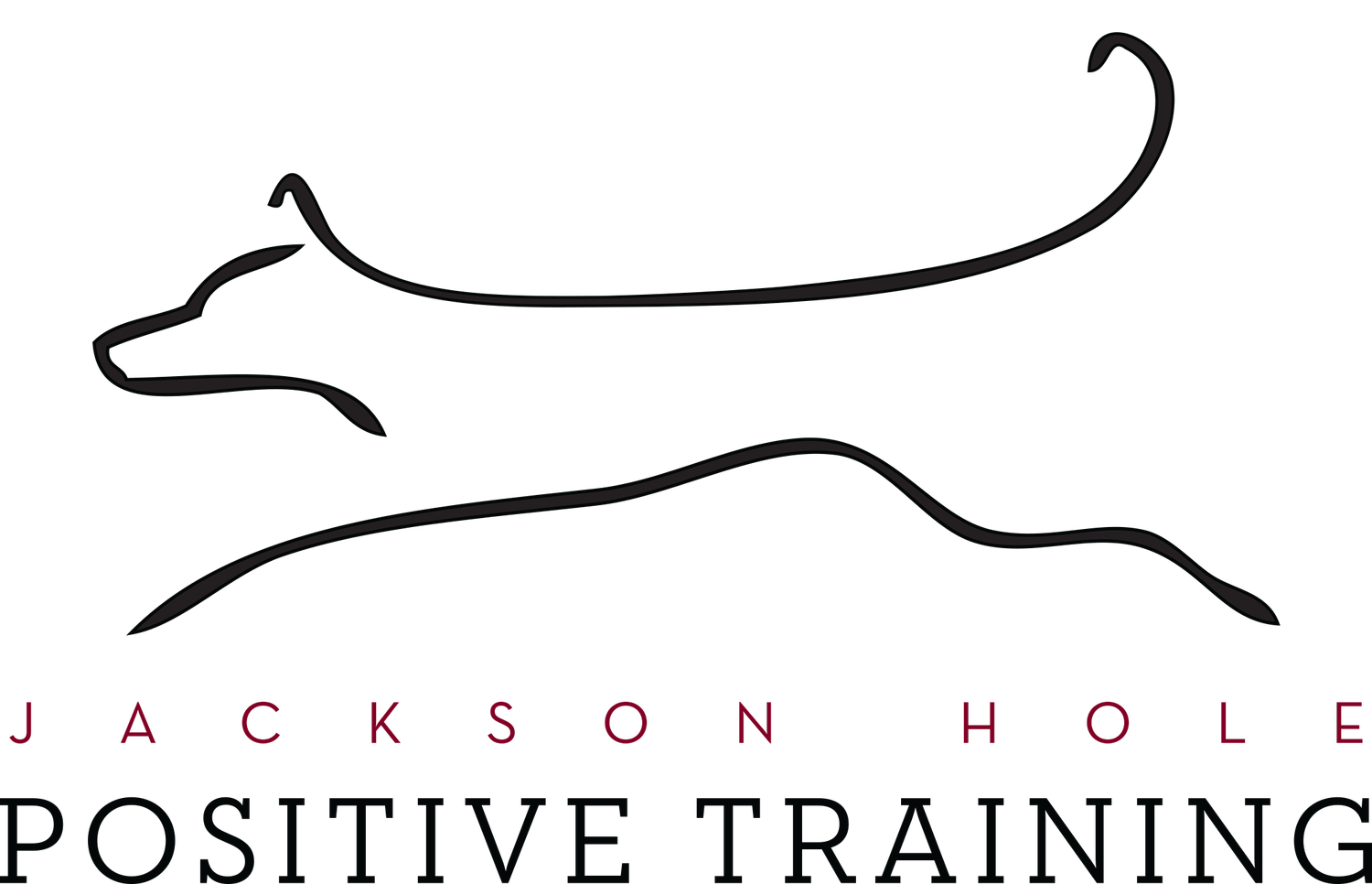 Jackson Hole Positive Training