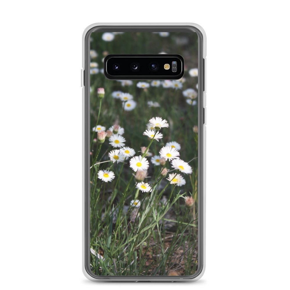 clear-case-for-samsung-samsung-galaxy-s10-case-on-phone-6460f609c2496.jpg