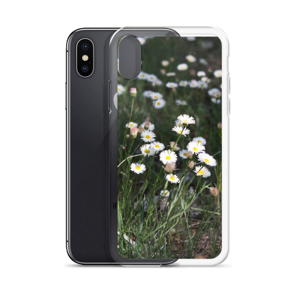 clear-case-for-iphone-iphone-x-xs-case-with-phone-6460f6667b14d.jpg