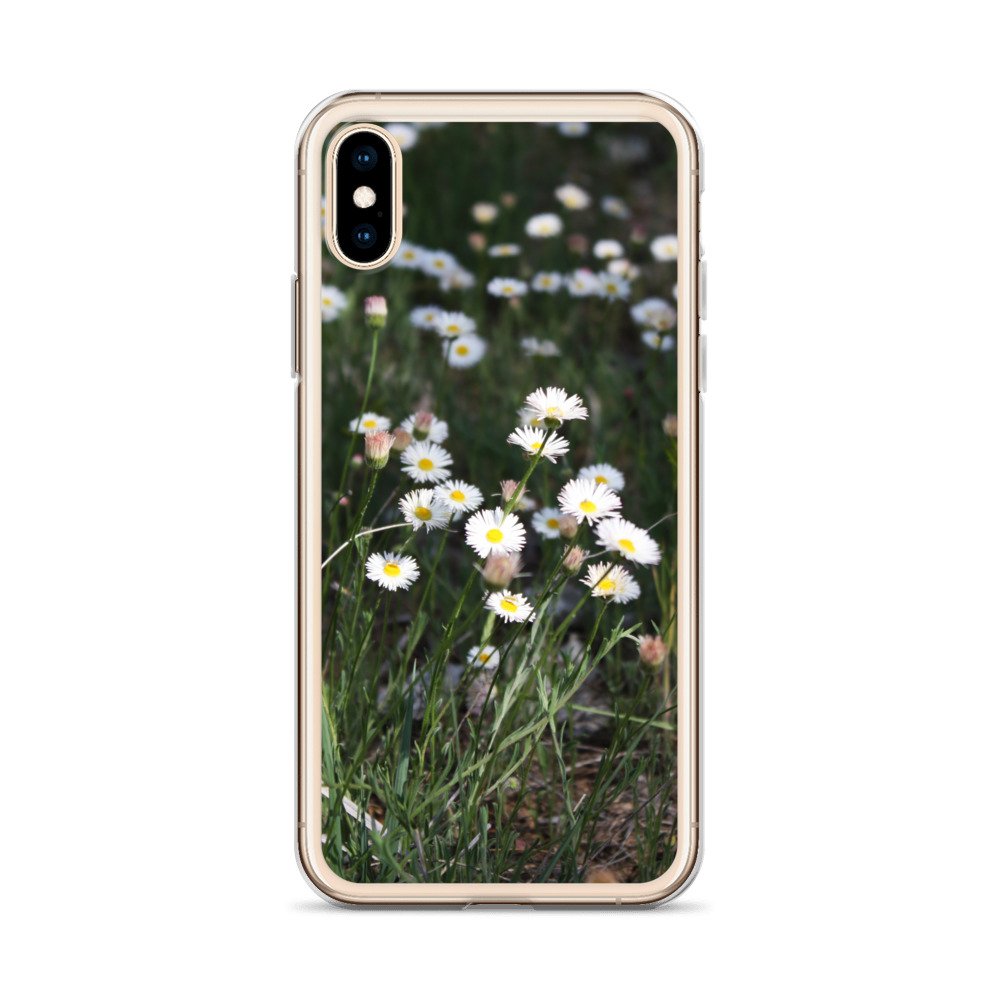 clear-case-for-iphone-iphone-x-xs-case-on-phone-6460f6667b182.jpg