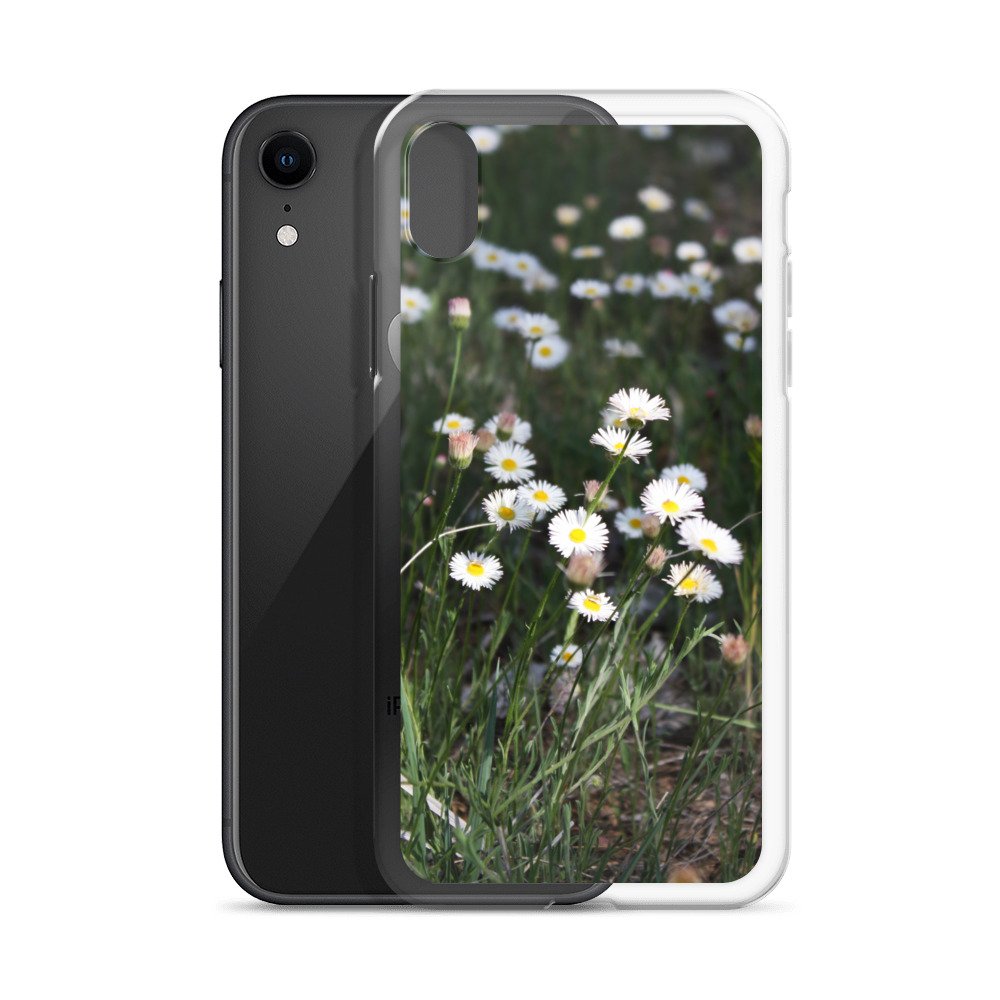 clear-case-for-iphone-iphone-xr-case-with-phone-6460f6667b269.jpg