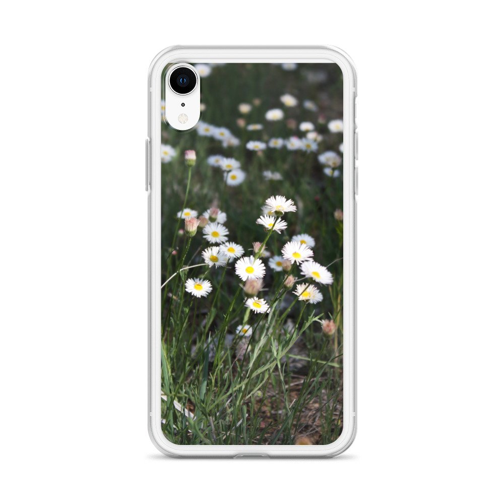 clear-case-for-iphone-iphone-xr-case-on-phone-6460f6667b29e.jpg