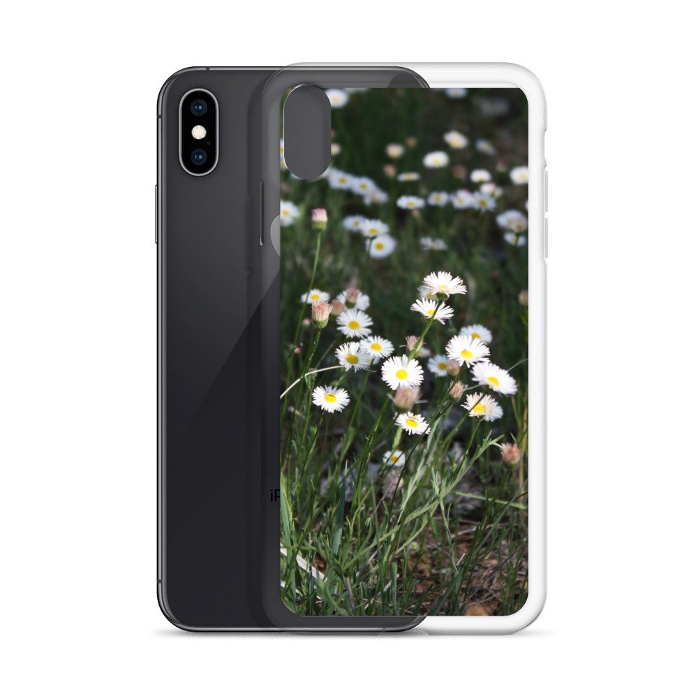 clear-case-for-iphone-iphone-xs-max-case-with-phone-6460f6667b35f.jpg