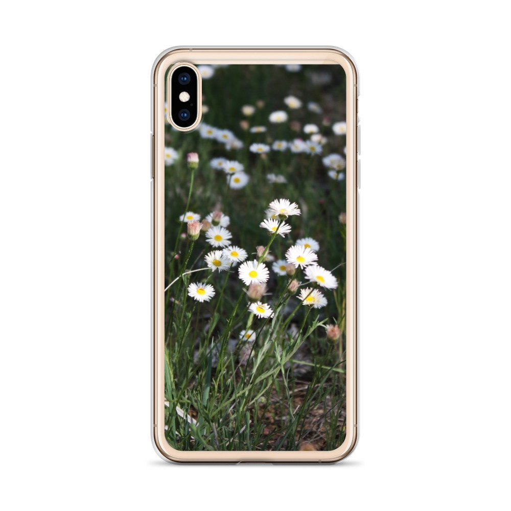 clear-case-for-iphone-iphone-xs-max-case-on-phone-6460f6667b393.jpg