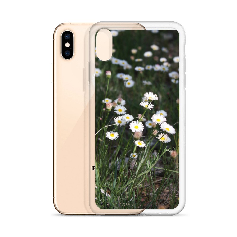 clear-case-for-iphone-iphone-xs-max-case-with-phone-6460f6667b3c6.jpg