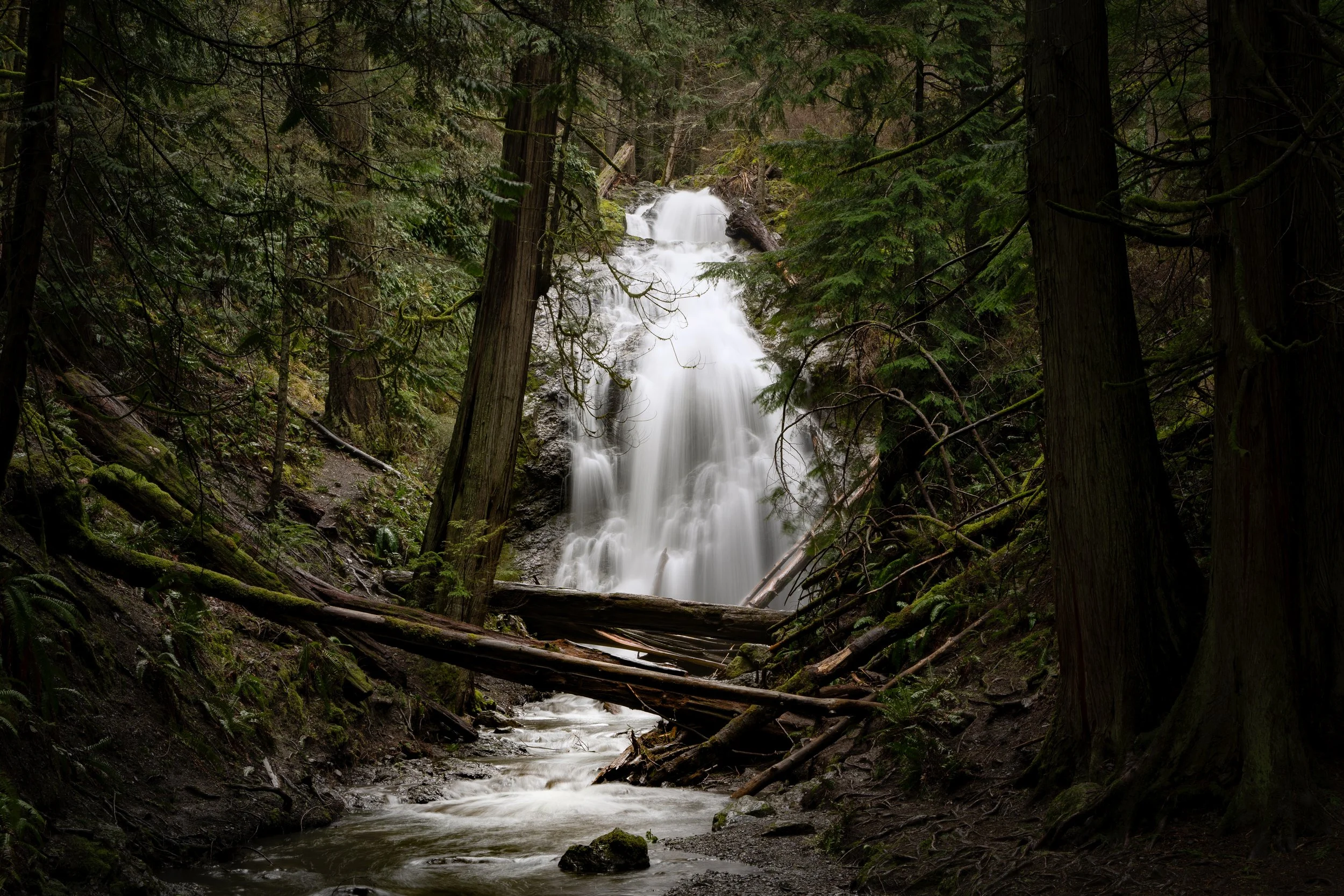 _A7N9257-Edit.jpg