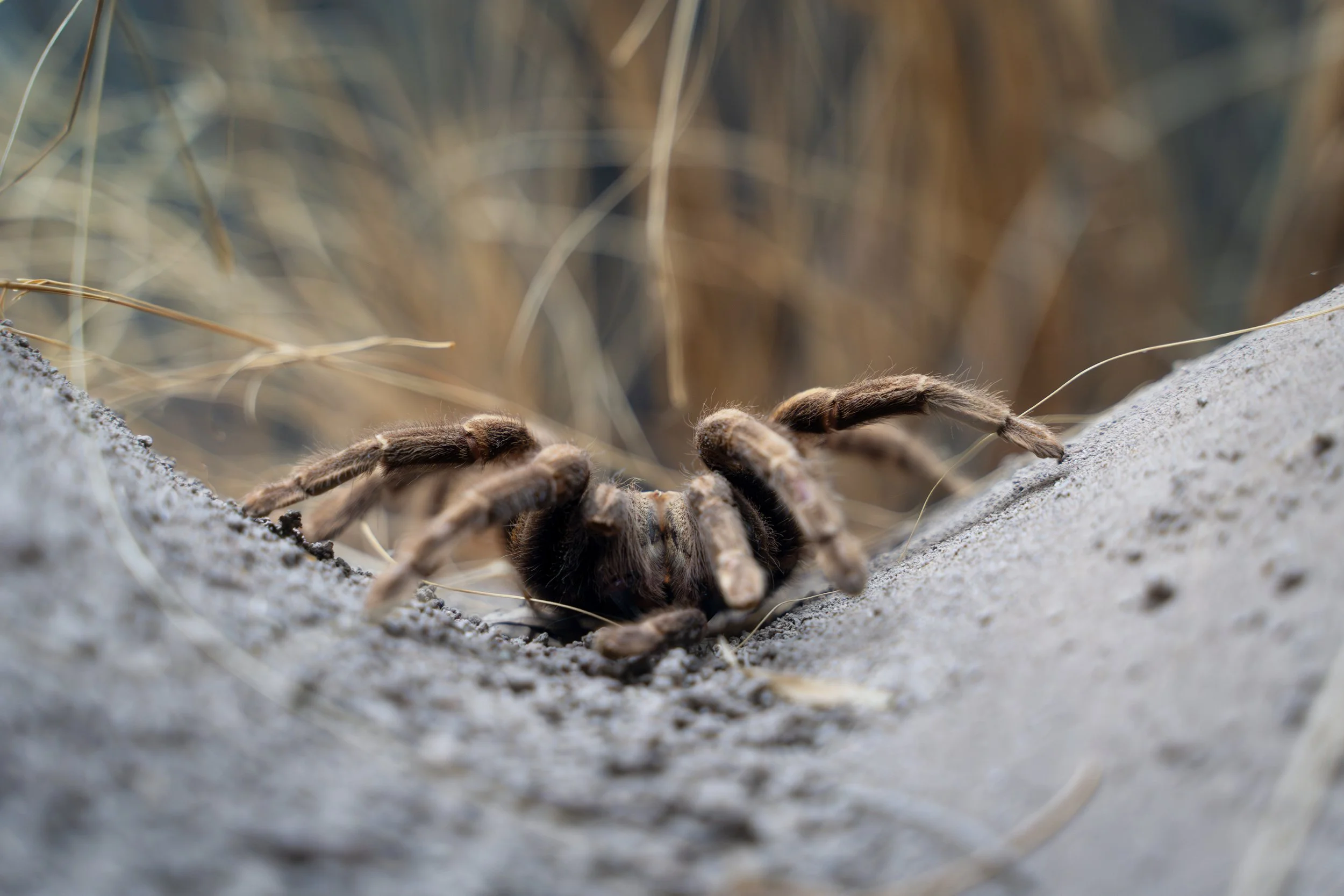 2025 was a level up year for me