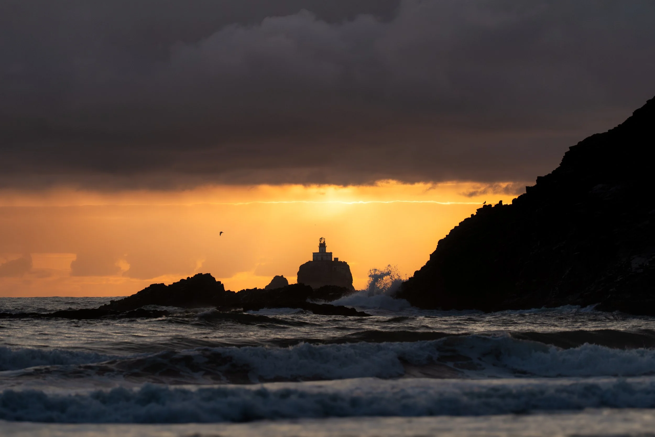 Cannon Beach 2025-9.jpg