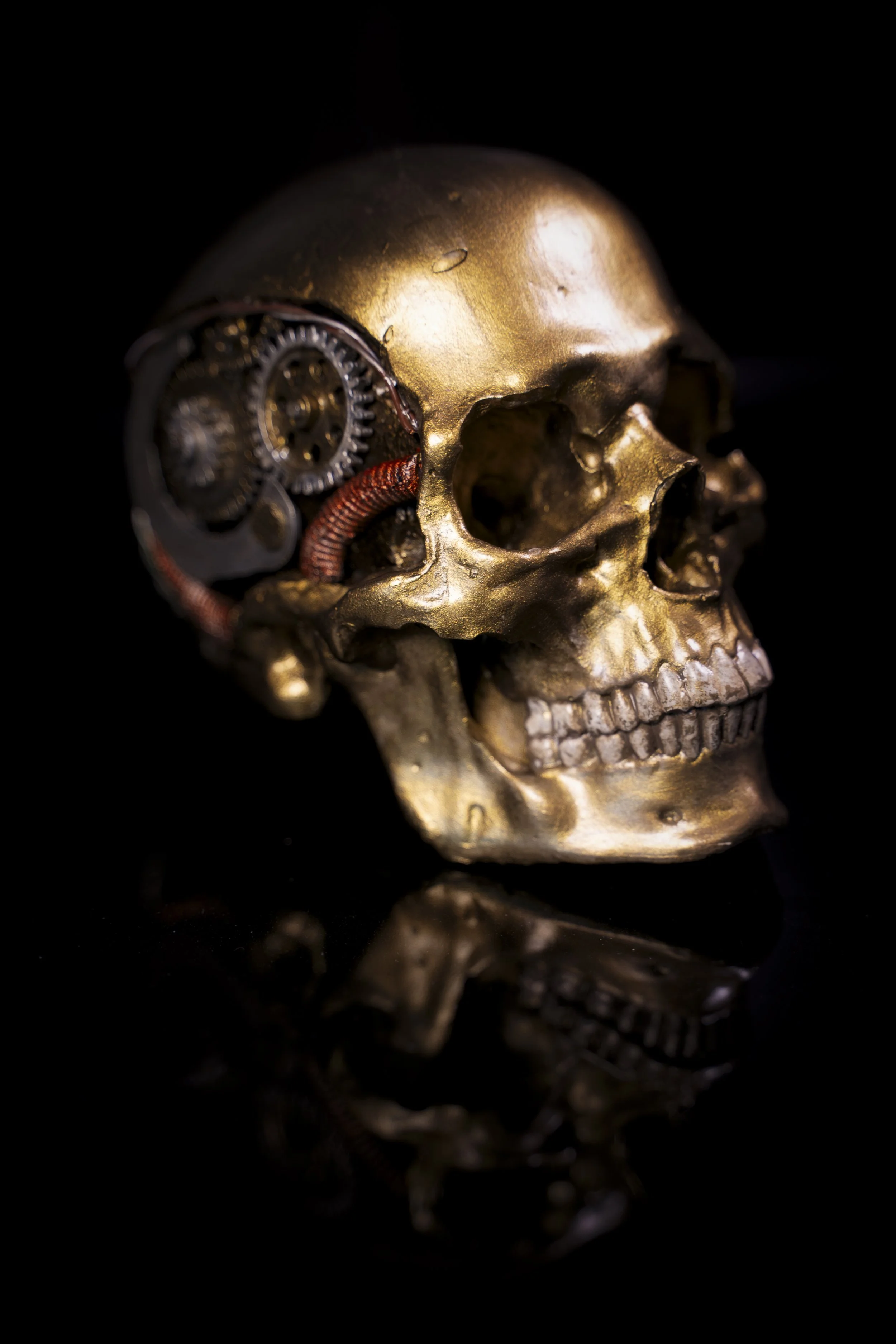 skull-5.jpg