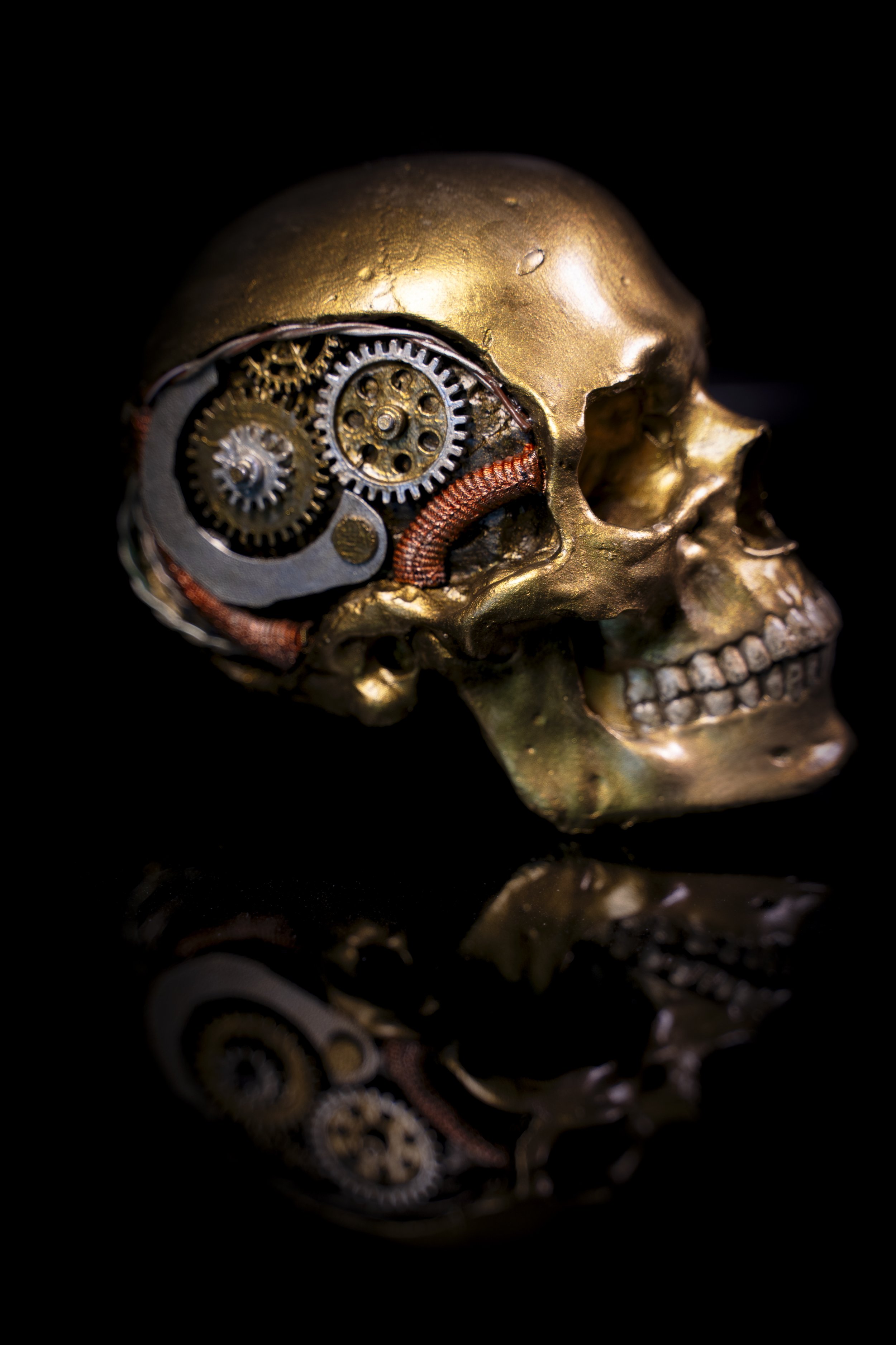 skull-4.jpg