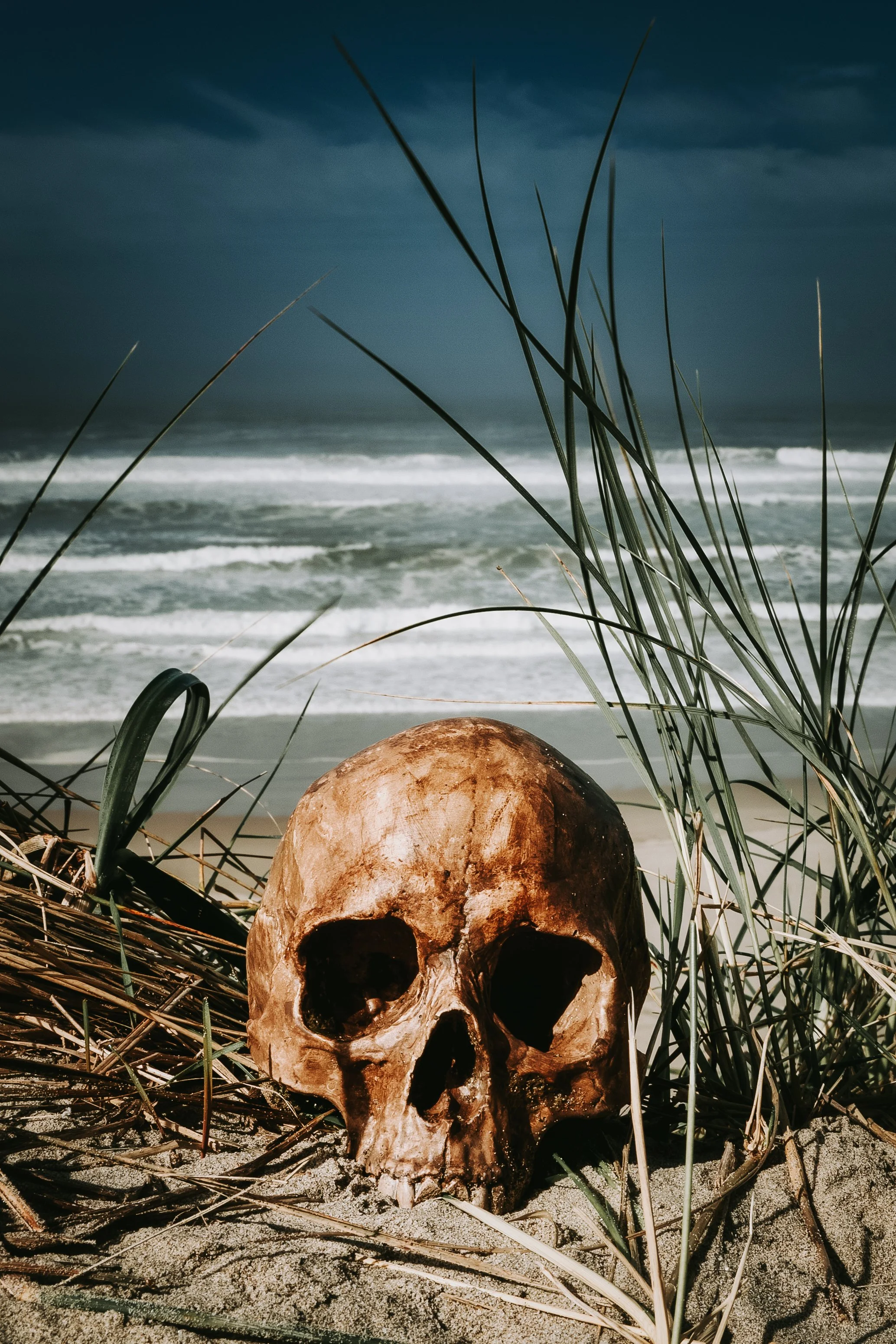 College Bandon Trip-9.jpg