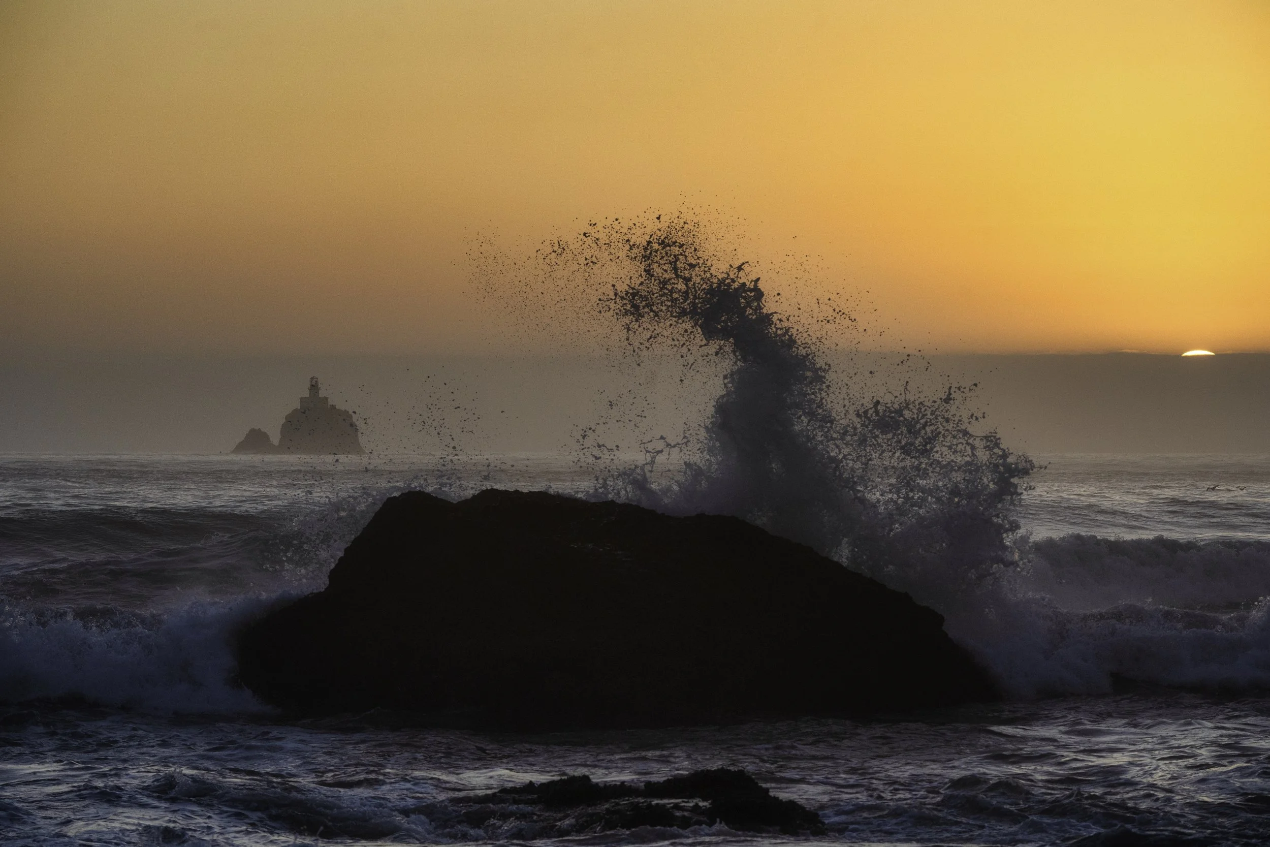 Cannon Beach July 2025-3.jpg