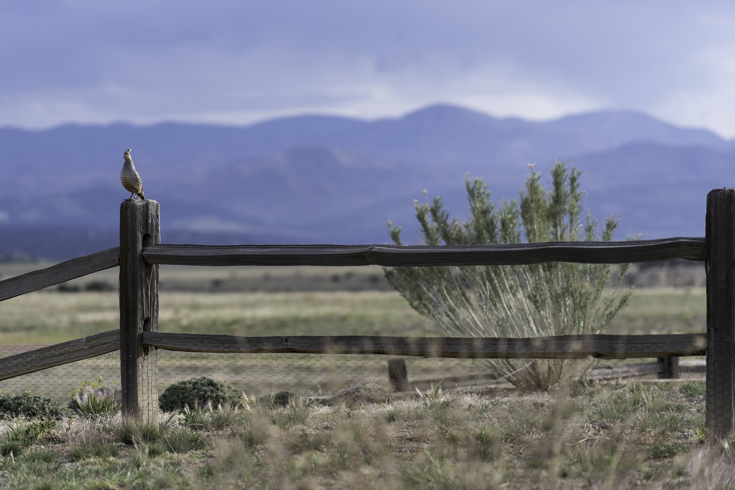_A7N1616-Edit.jpg