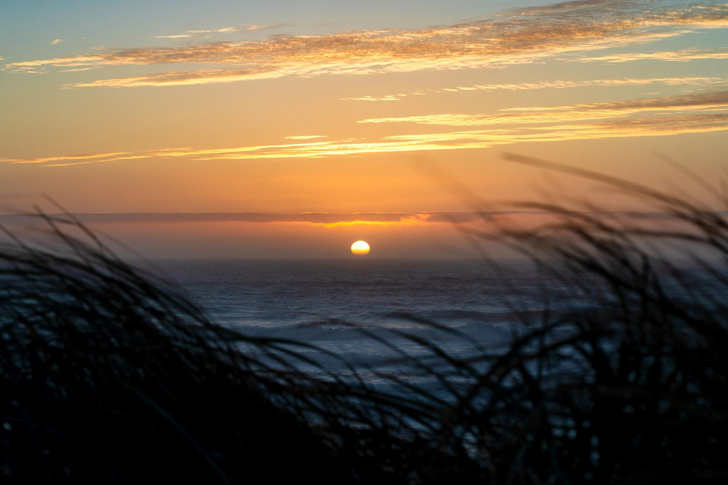 College Bandon Trip-7.jpg