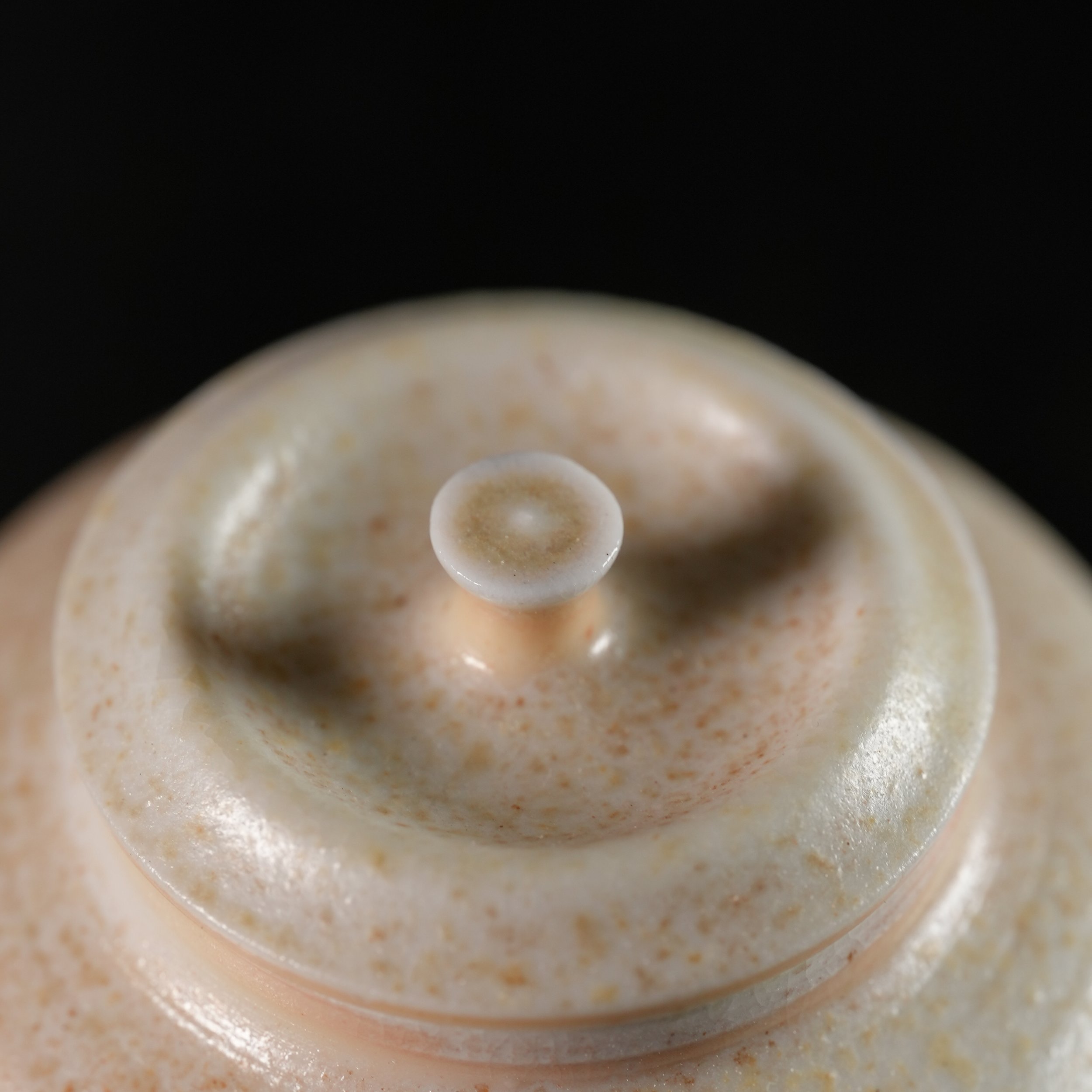 DSC07223.JPG
