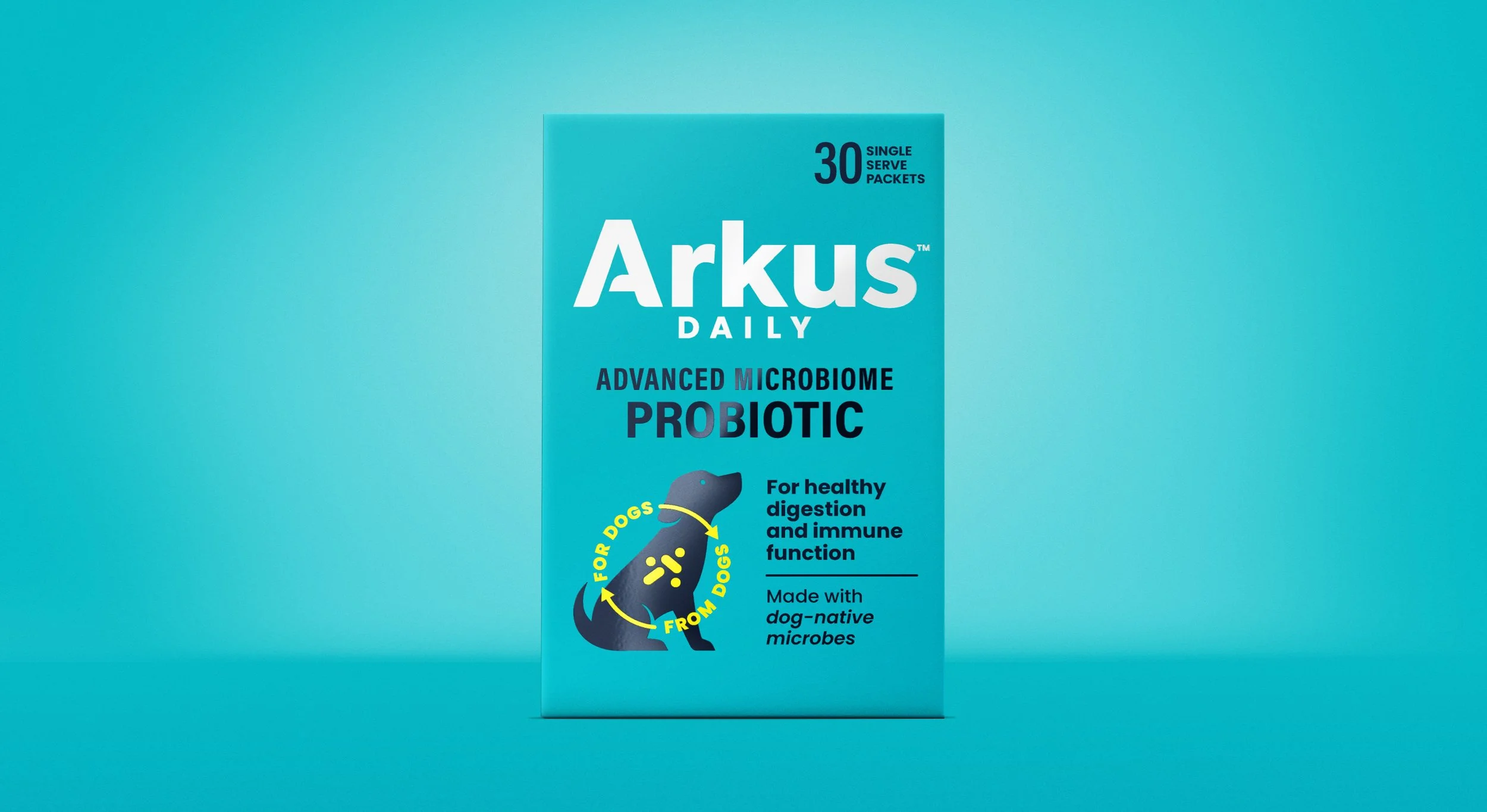 Arkus1.jpg