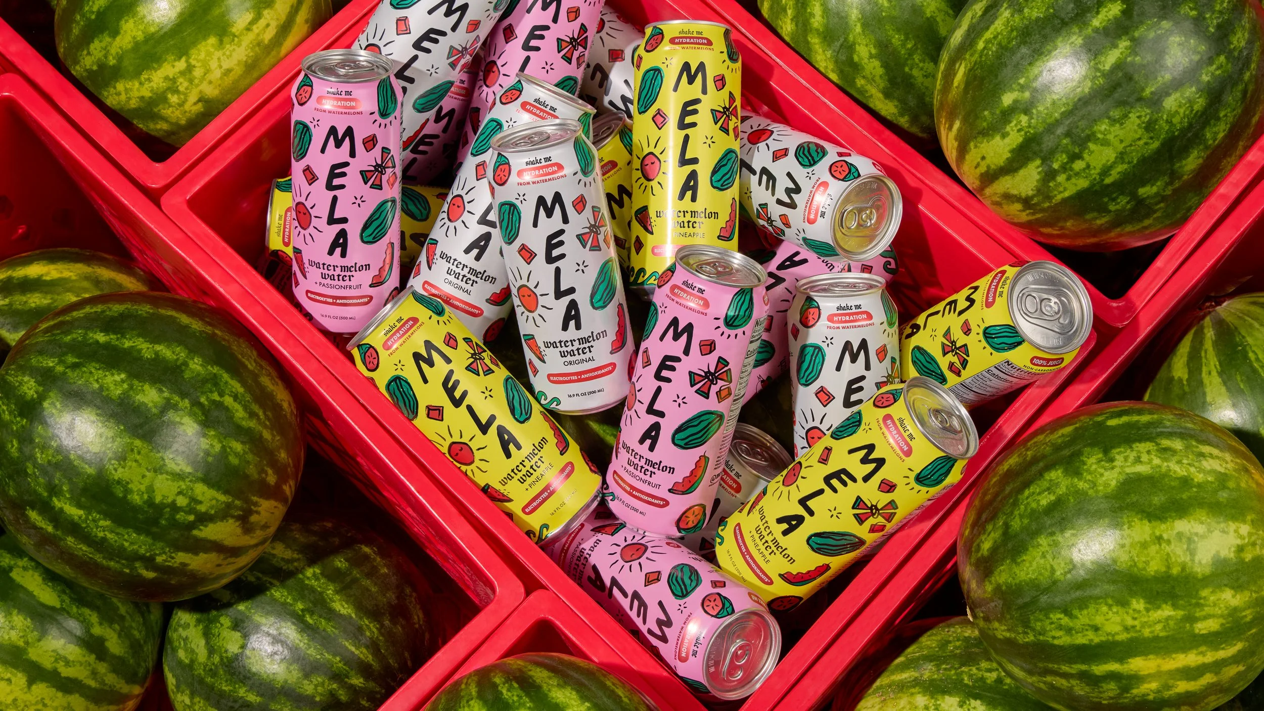 Mela_December 2024_Shot 4.jpg