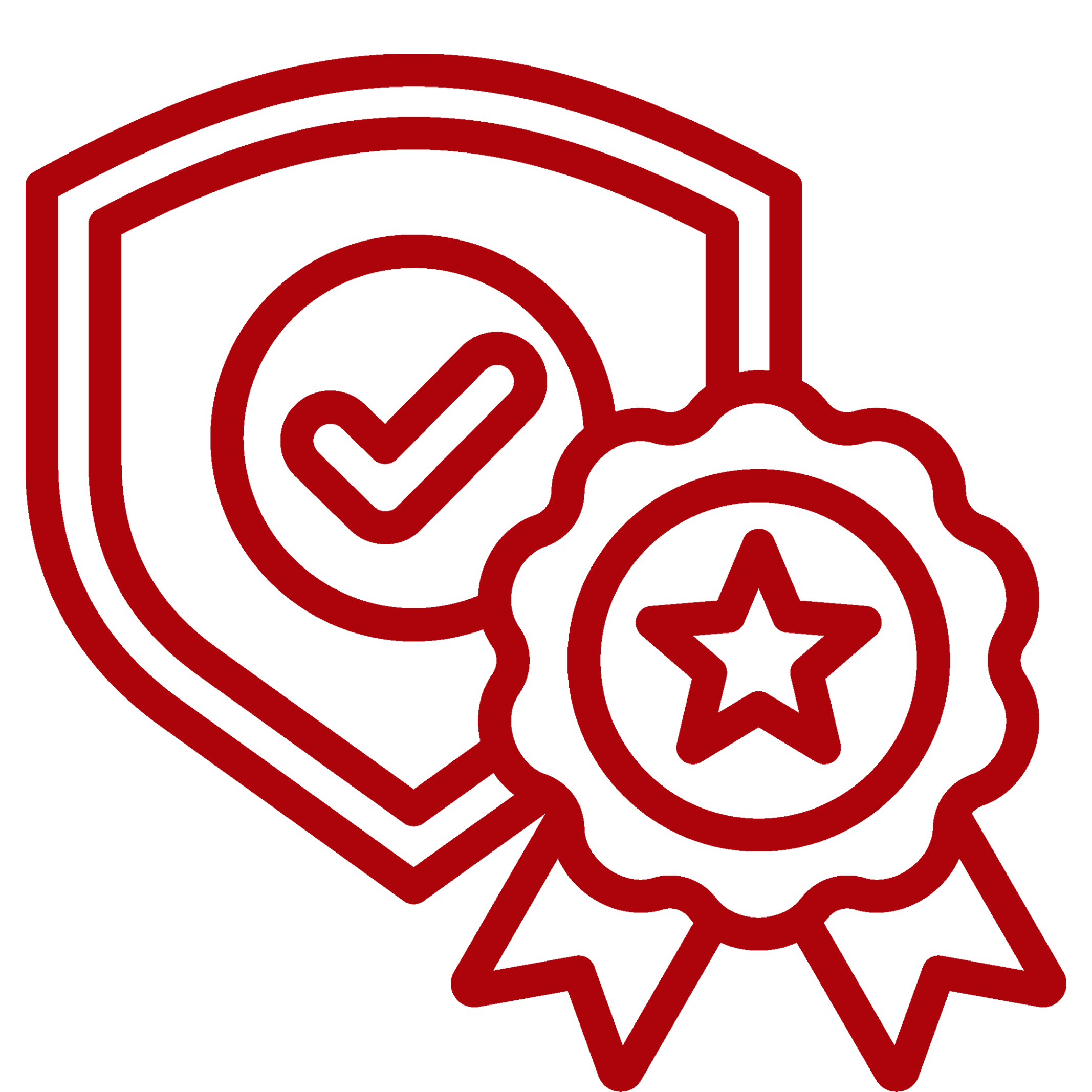 Award badge with a check mark, a star, and ribbon details in red outline.