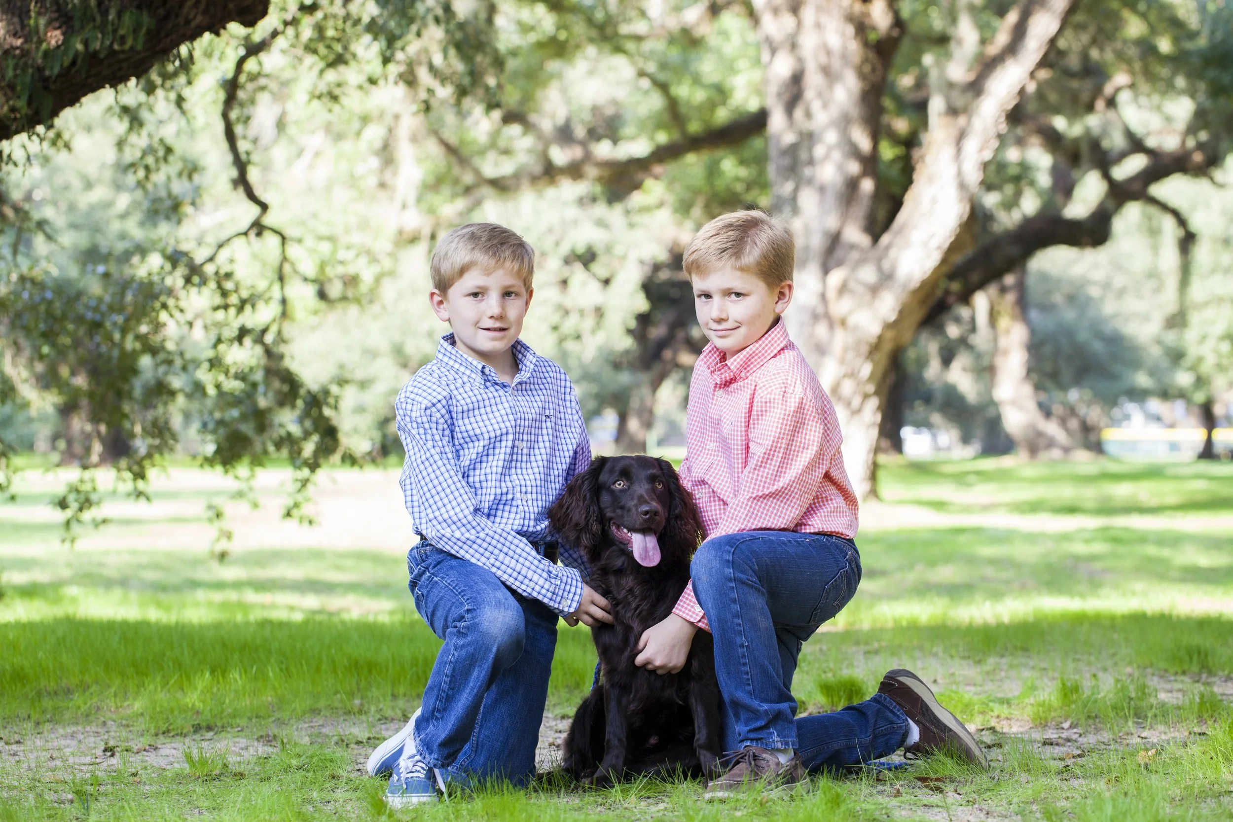 Two young boys kneeling on the grass with a black dog, outdoors in a park with green trees in the background. Photographed by Houston Photographer Katie Park.