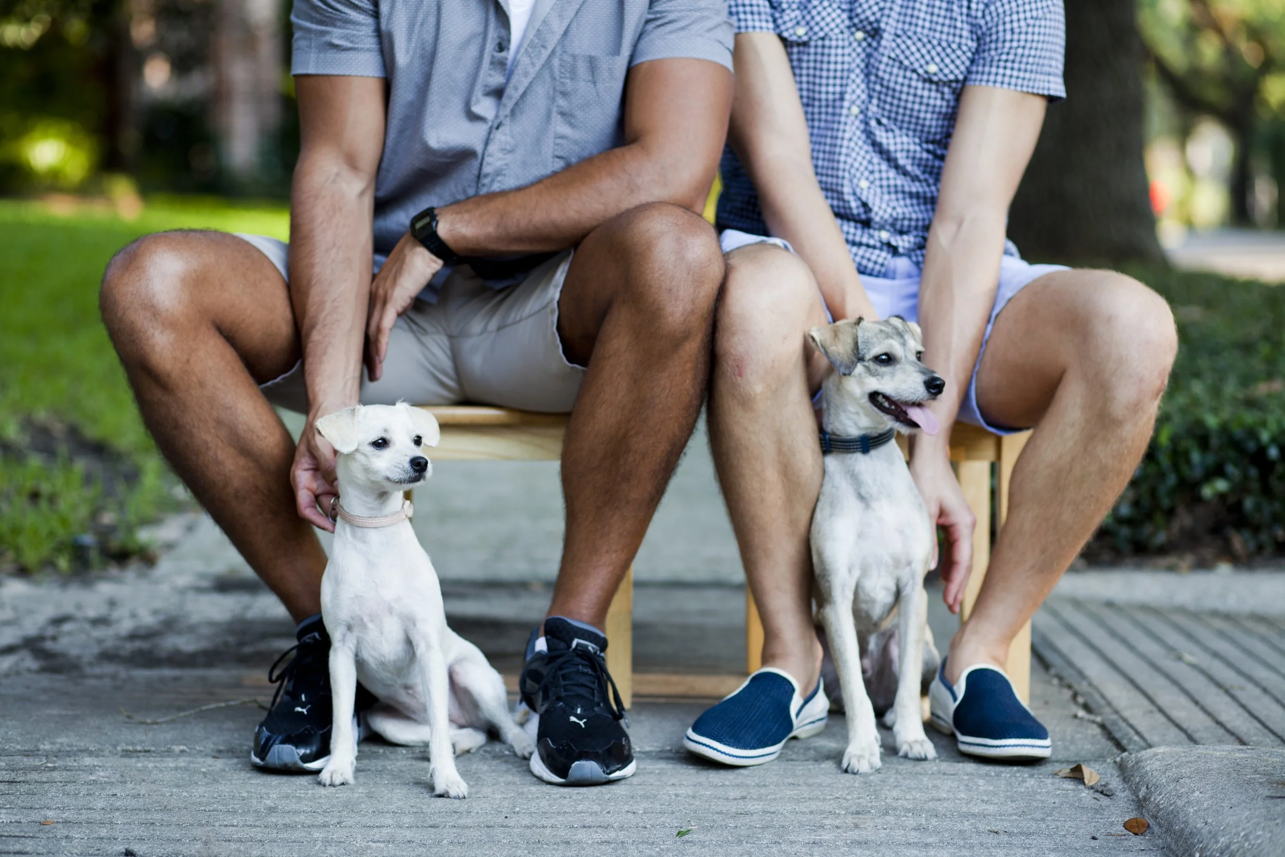 Two people sitting on a bench with two small dogs, one sitting and the other standing, on a sidewalk in a park. Photographed by Houston Photographer Katie Park.