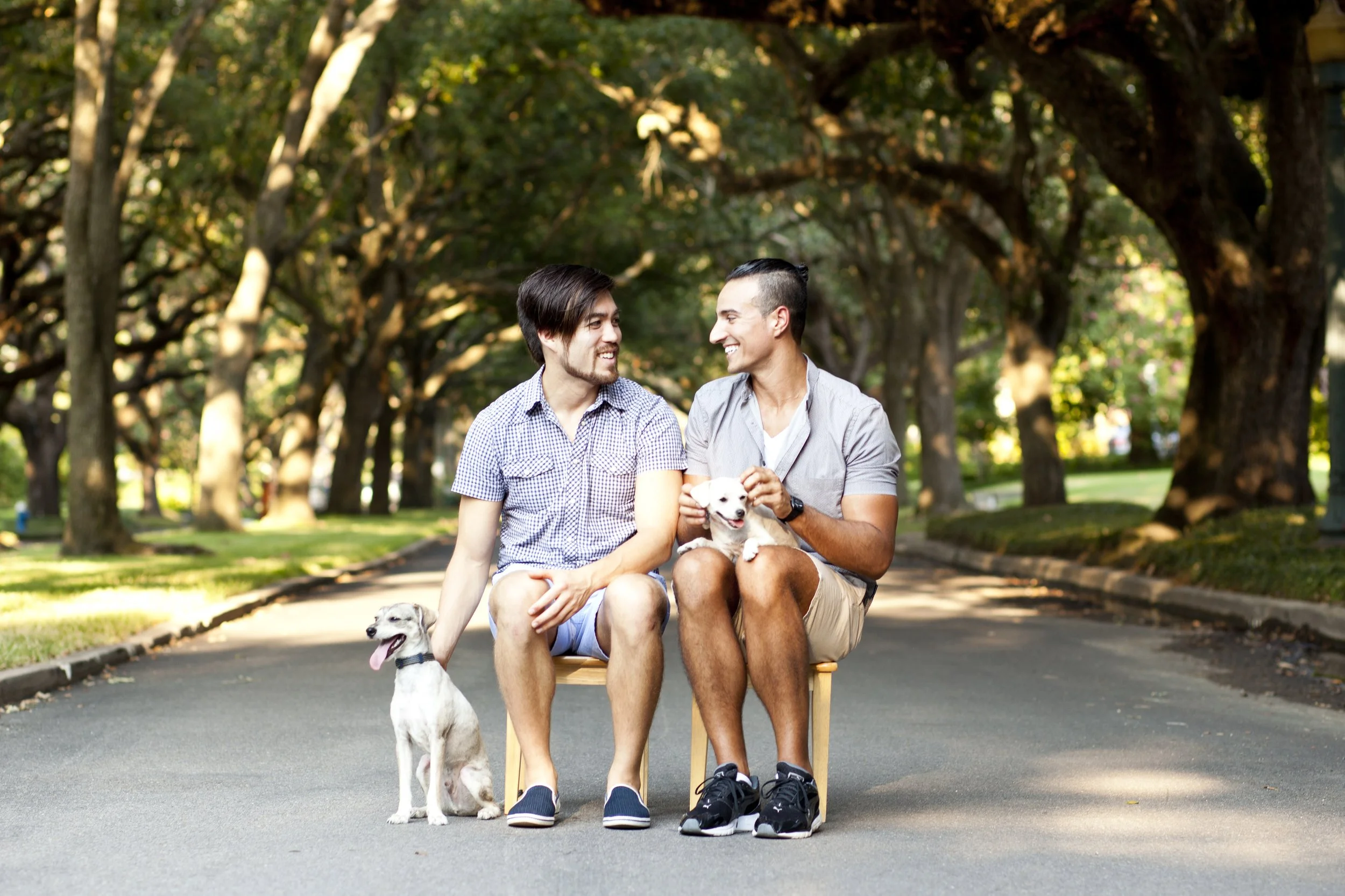 Two men sitting on chairs on a park street, smiling at each other, with two dogs, one standing and one sitting, during daytime. Photographed by Houston Photographer Katie Park.