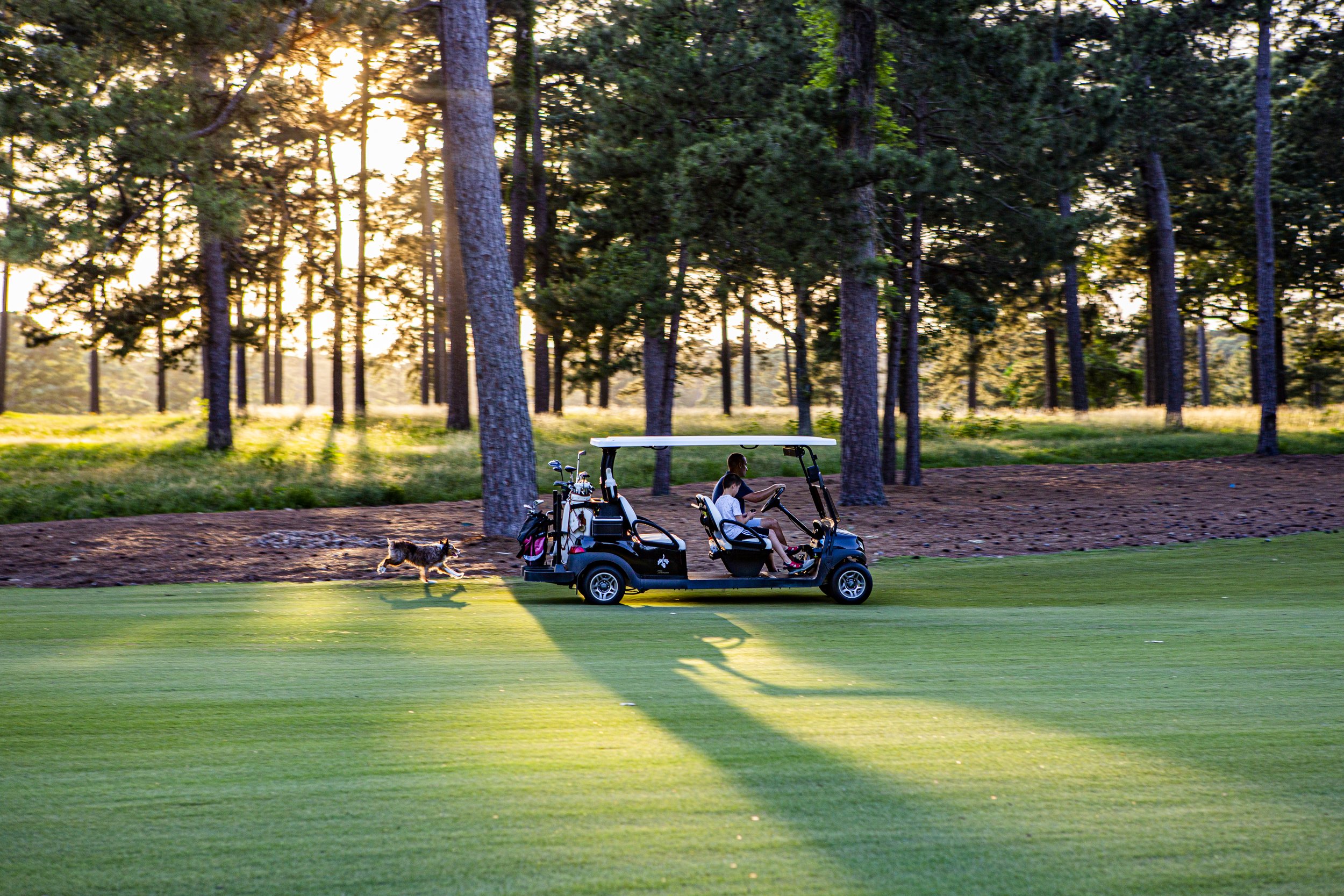 Two children riding in a black golf cart on a golf course, with a dog running beside it, surrounded by tall trees and sunlight.