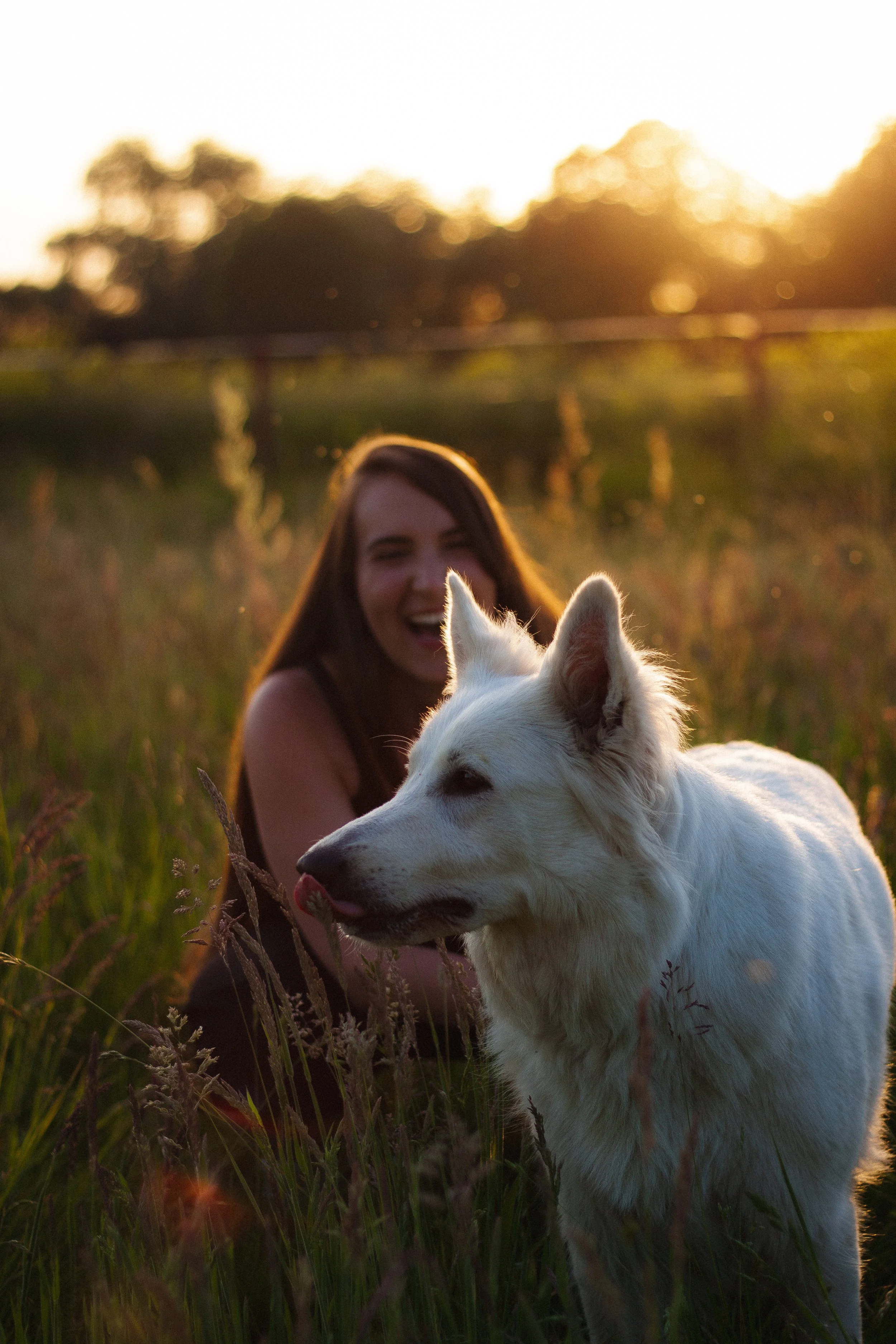 Yoga _mit_Hund_Koeln