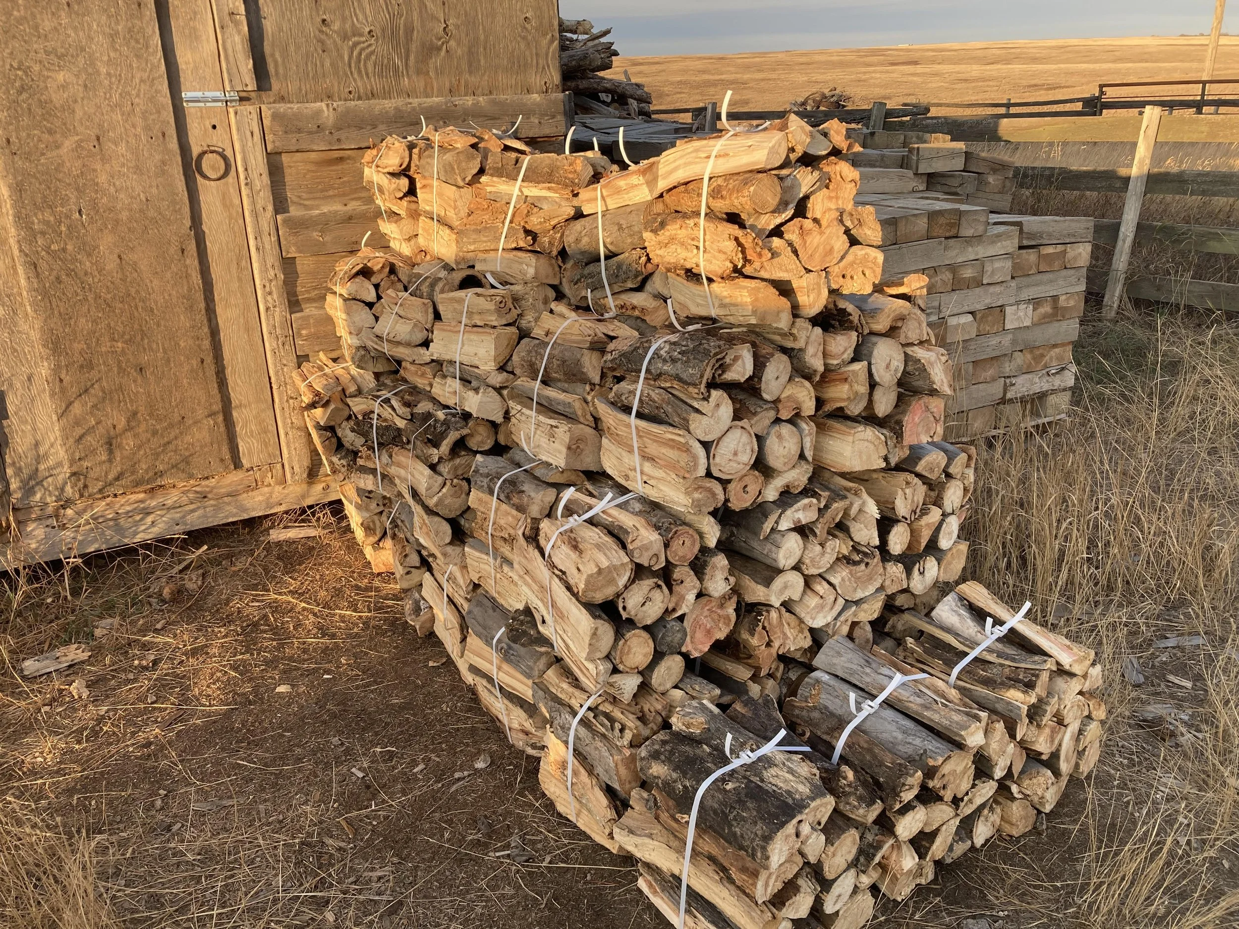 Poplar Firewood Bundles