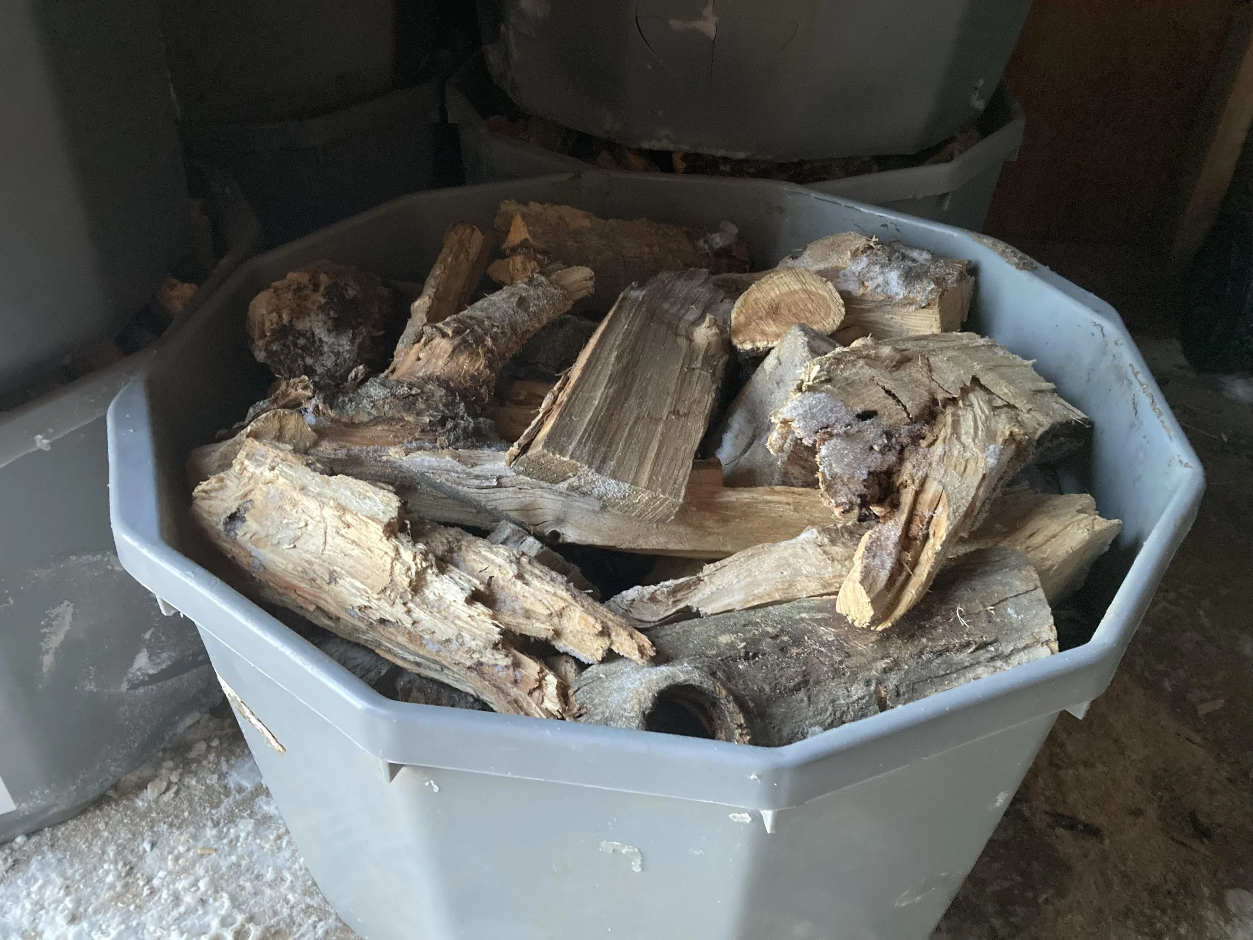 Poplar Firewood Tubs