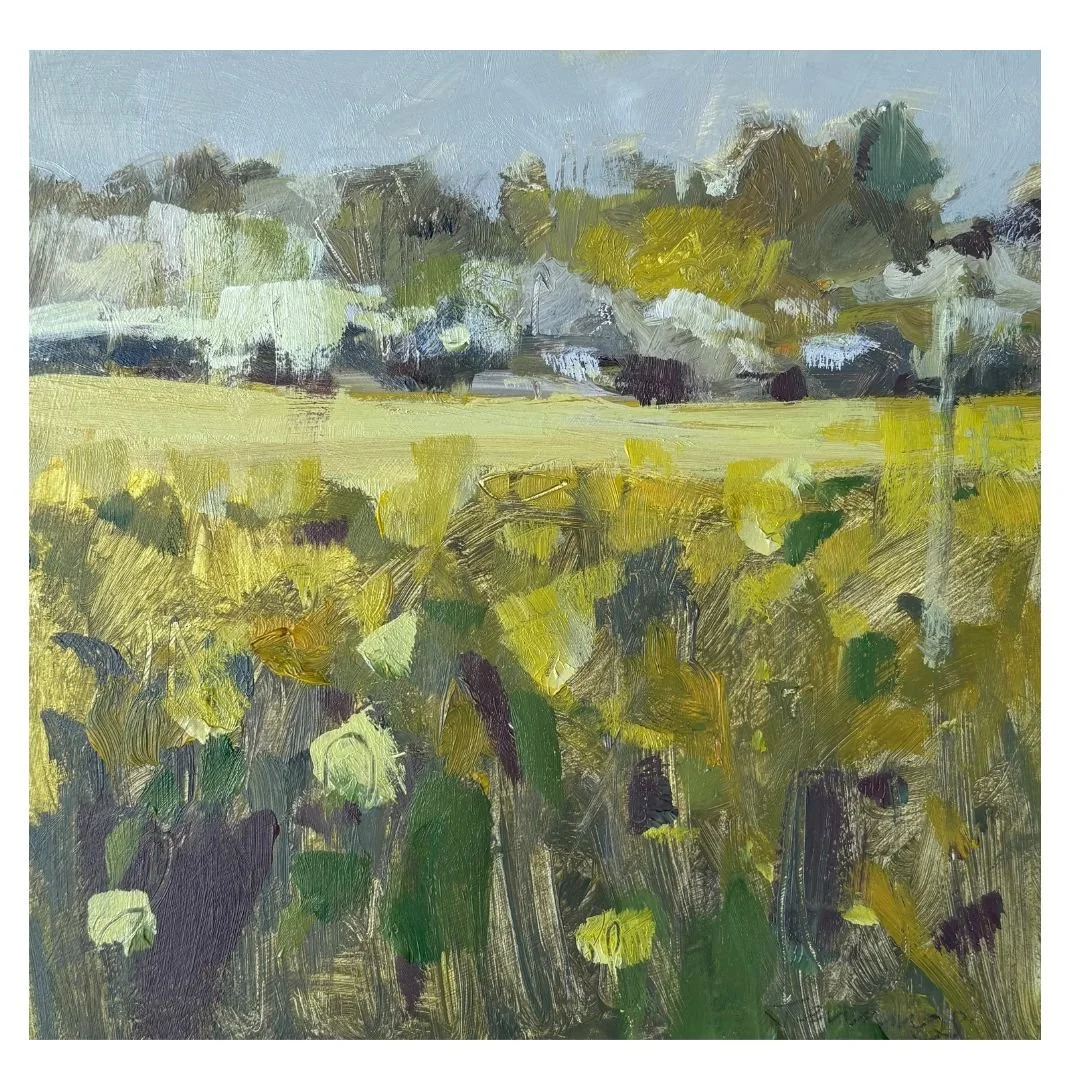 Rapeseed and May Blossom square format.jpg