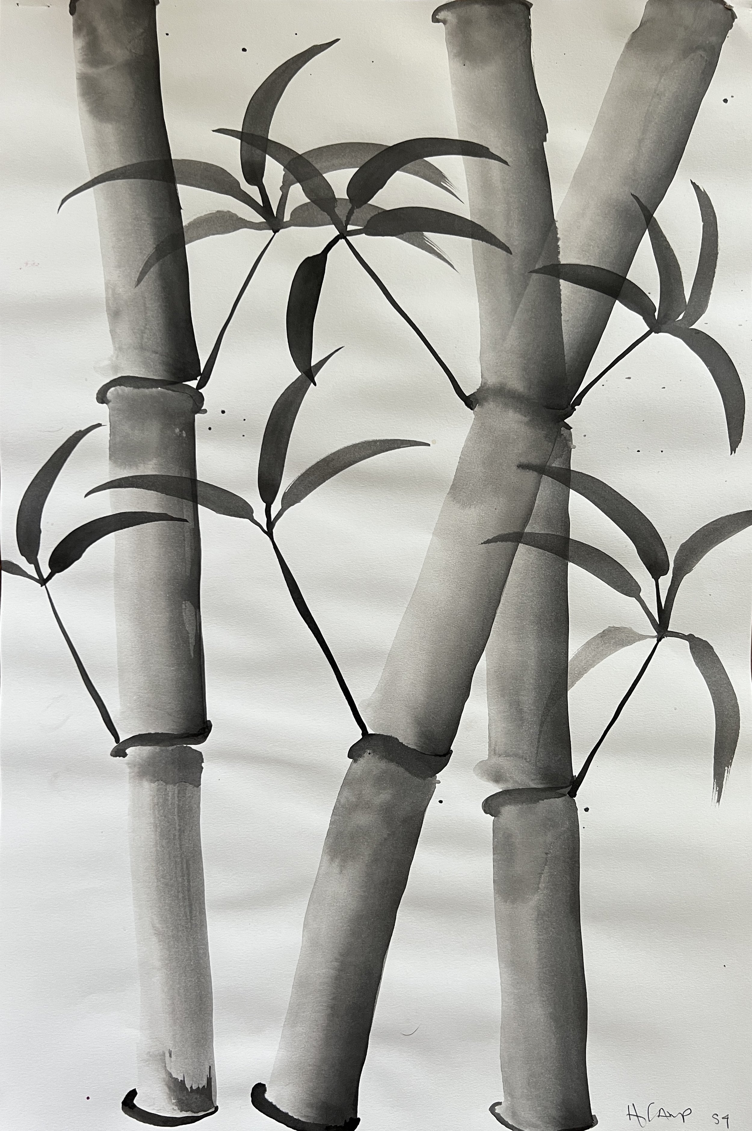 Sumi-e Ink Painting