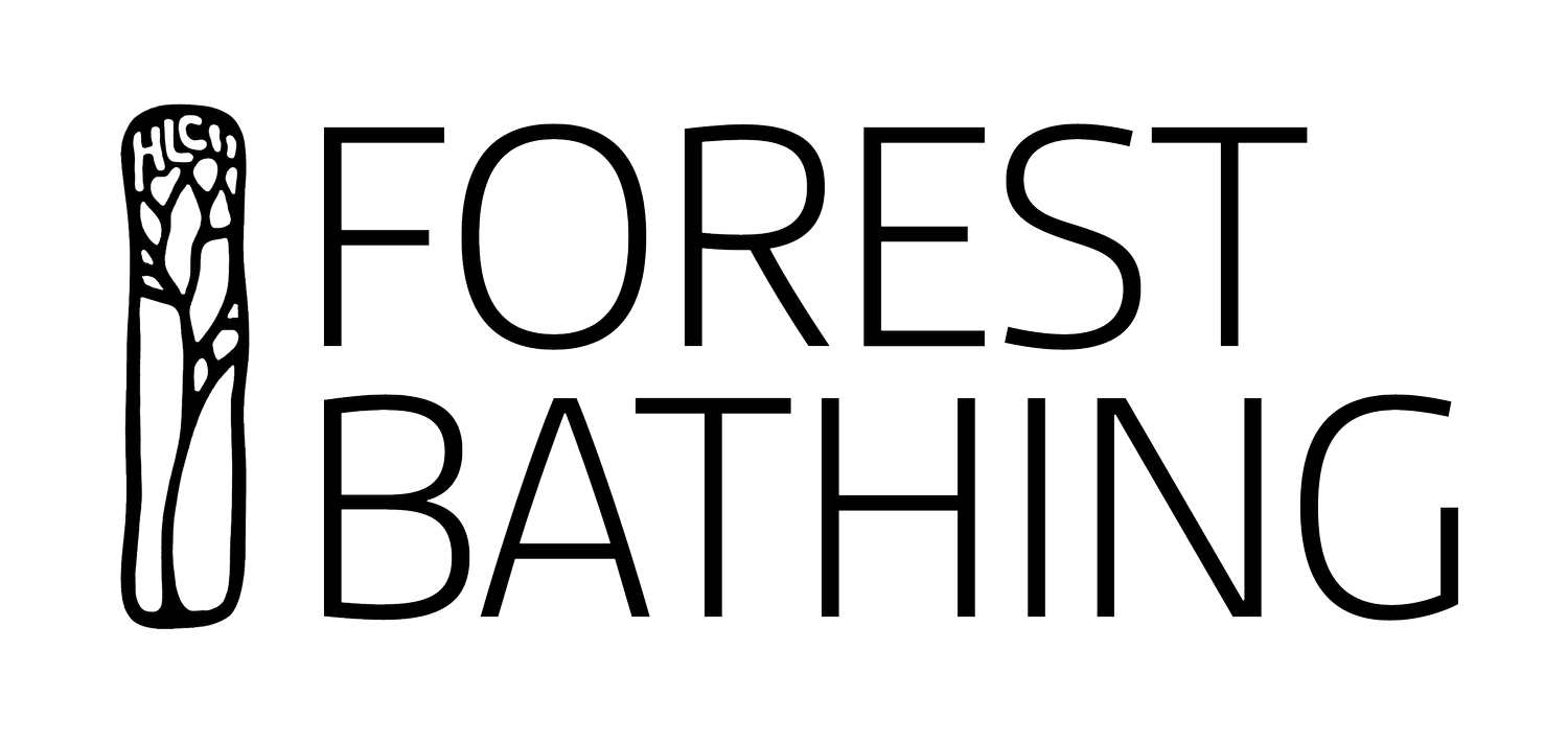 Forest Bathing