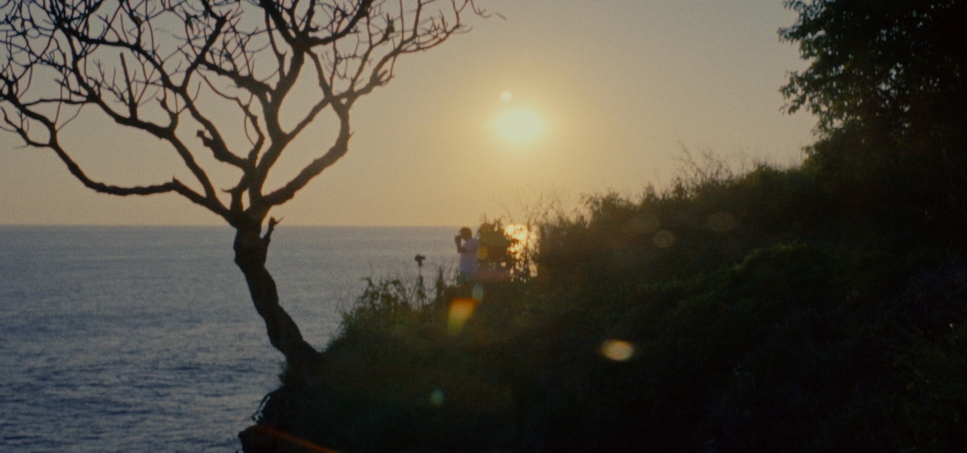 Captura 2024-11-26 130434_1.14.1.png