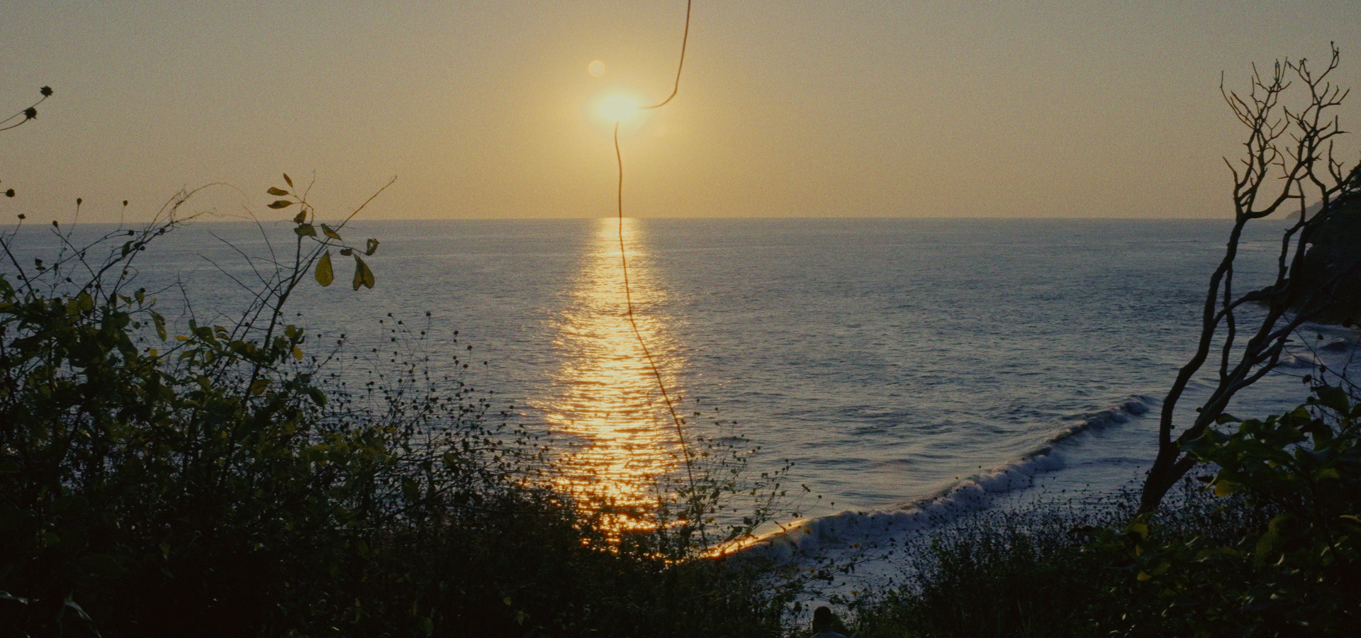 Captura 2024-11-26 130434_1.17.1.png