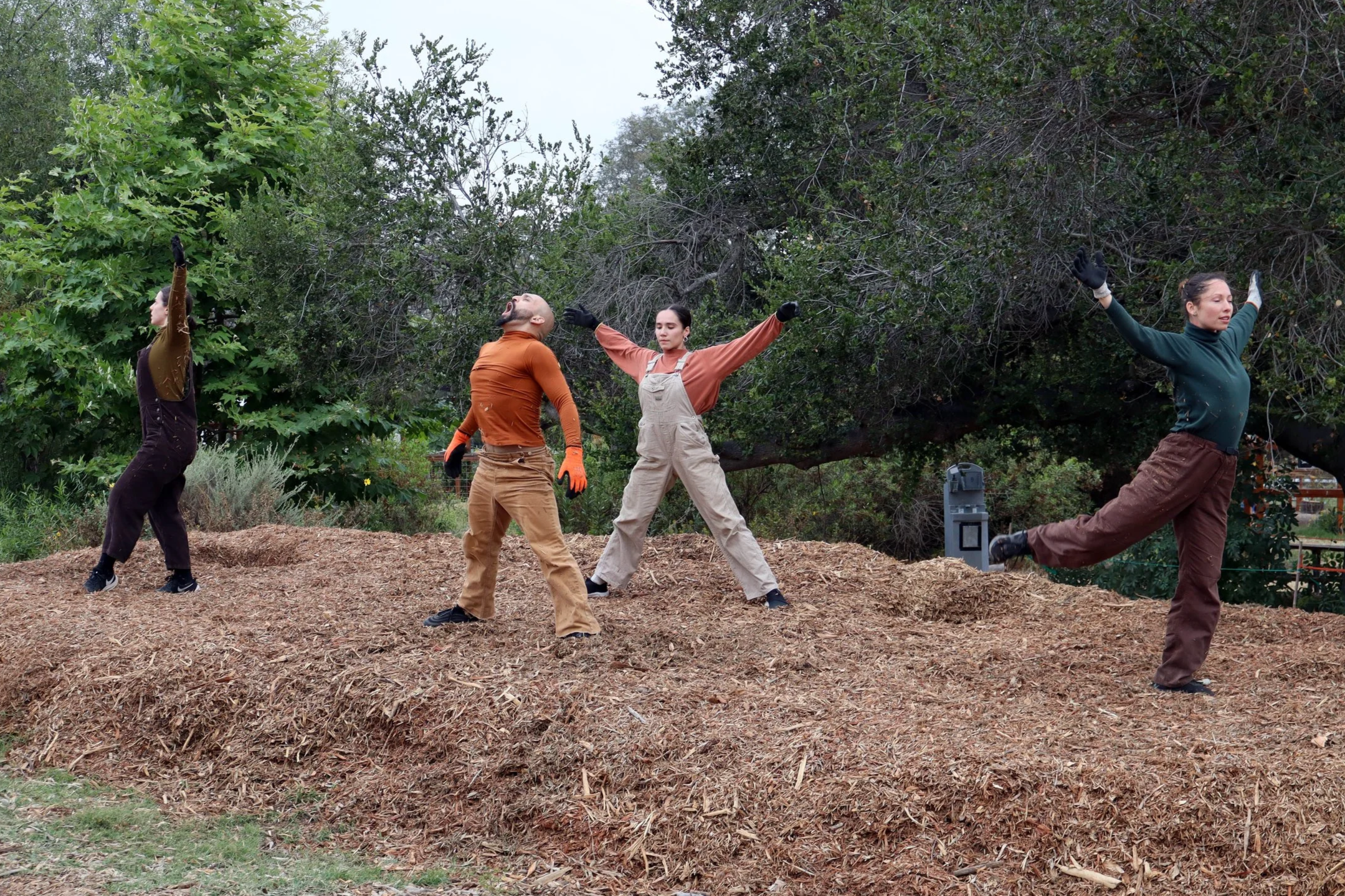 Regenerate!
May 17, 2026 at Coastal Roots Farm