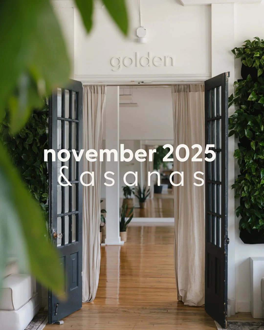 mark you calendars - we have a busy month here at the studio 📅