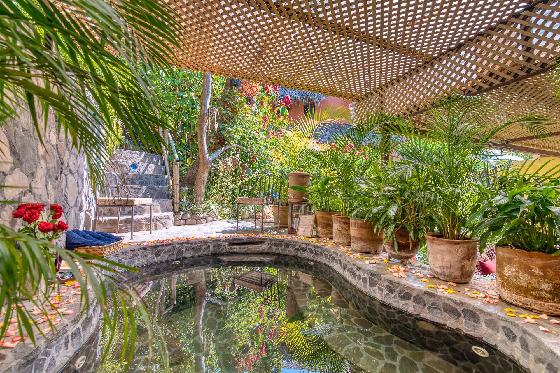 jungle lounge hot tub March 2023.jpg