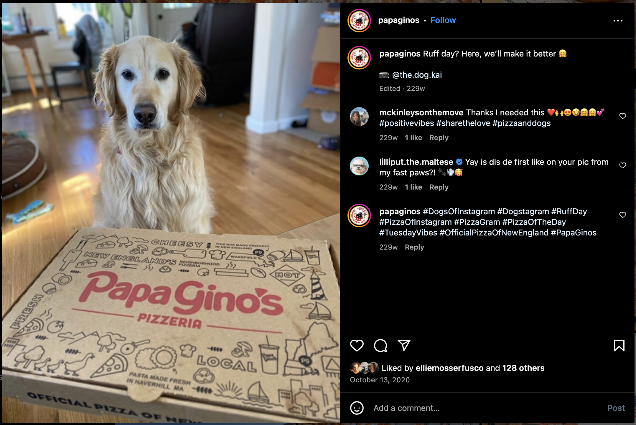 Papa Gino's Social - Ruff Day.png