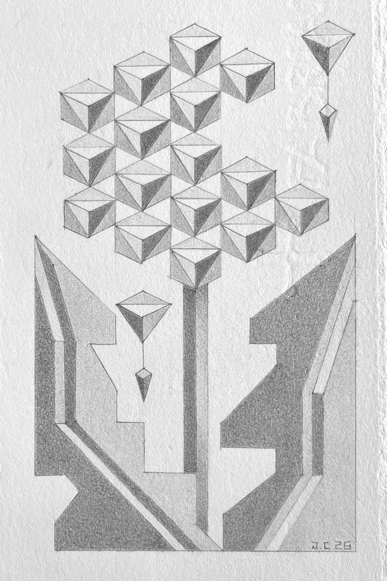Dandelion: Graphite on 300lb Hot Press Paper- 4”x6”- 2026