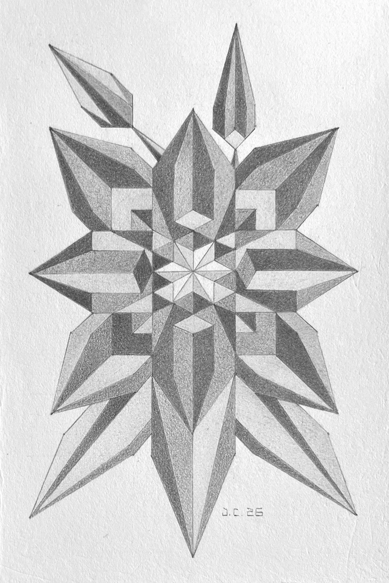 Clematis Flower: Graphite on 300lb Hot Press Paper- 4”x6”- 2026