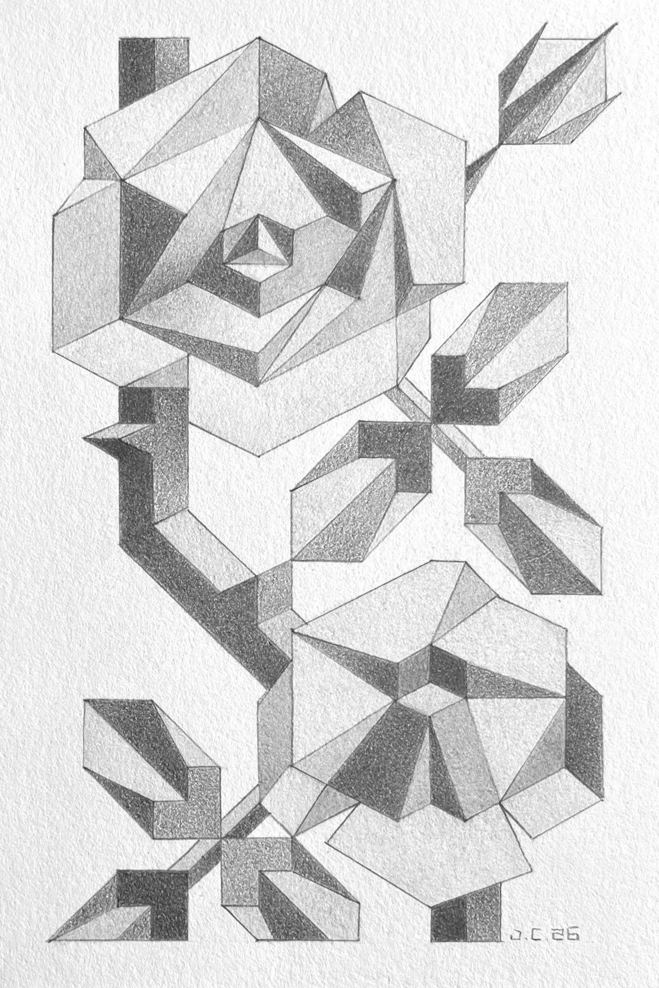 Eden Rose: Graphite on 300lb Hot Press Paper- 4”x6”- 2026
